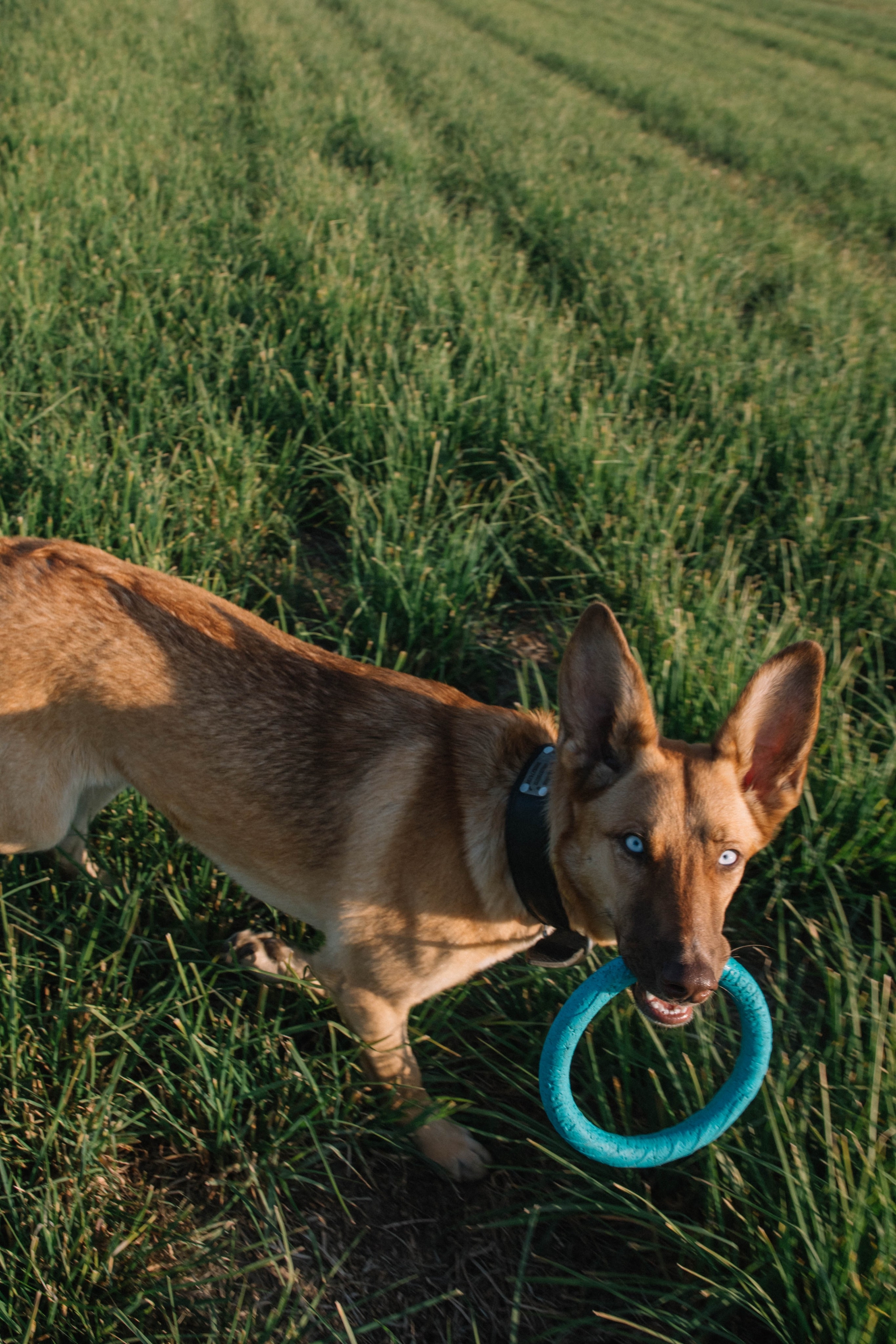 Семейная фотосессия