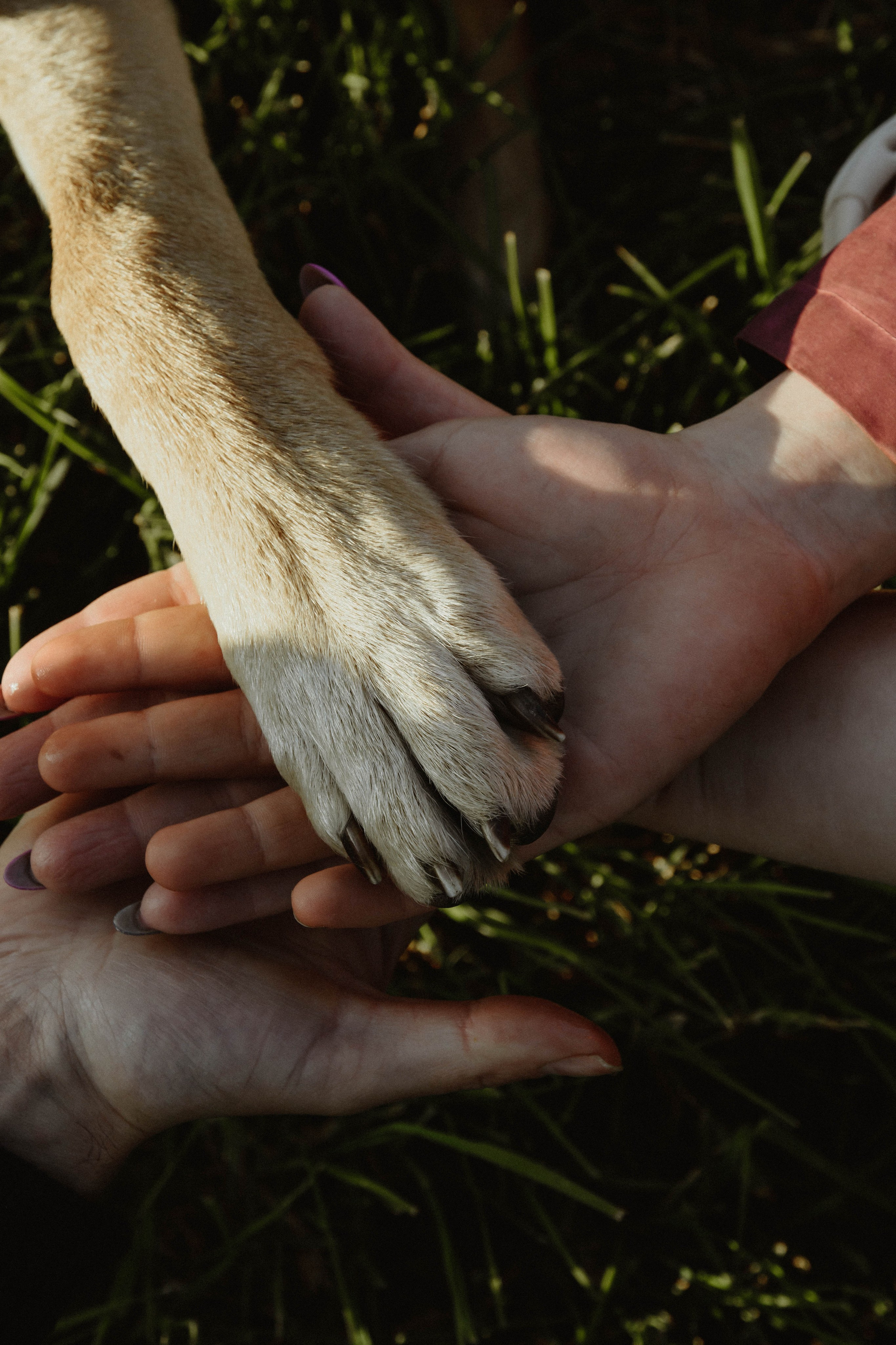 Семейная фотосессия