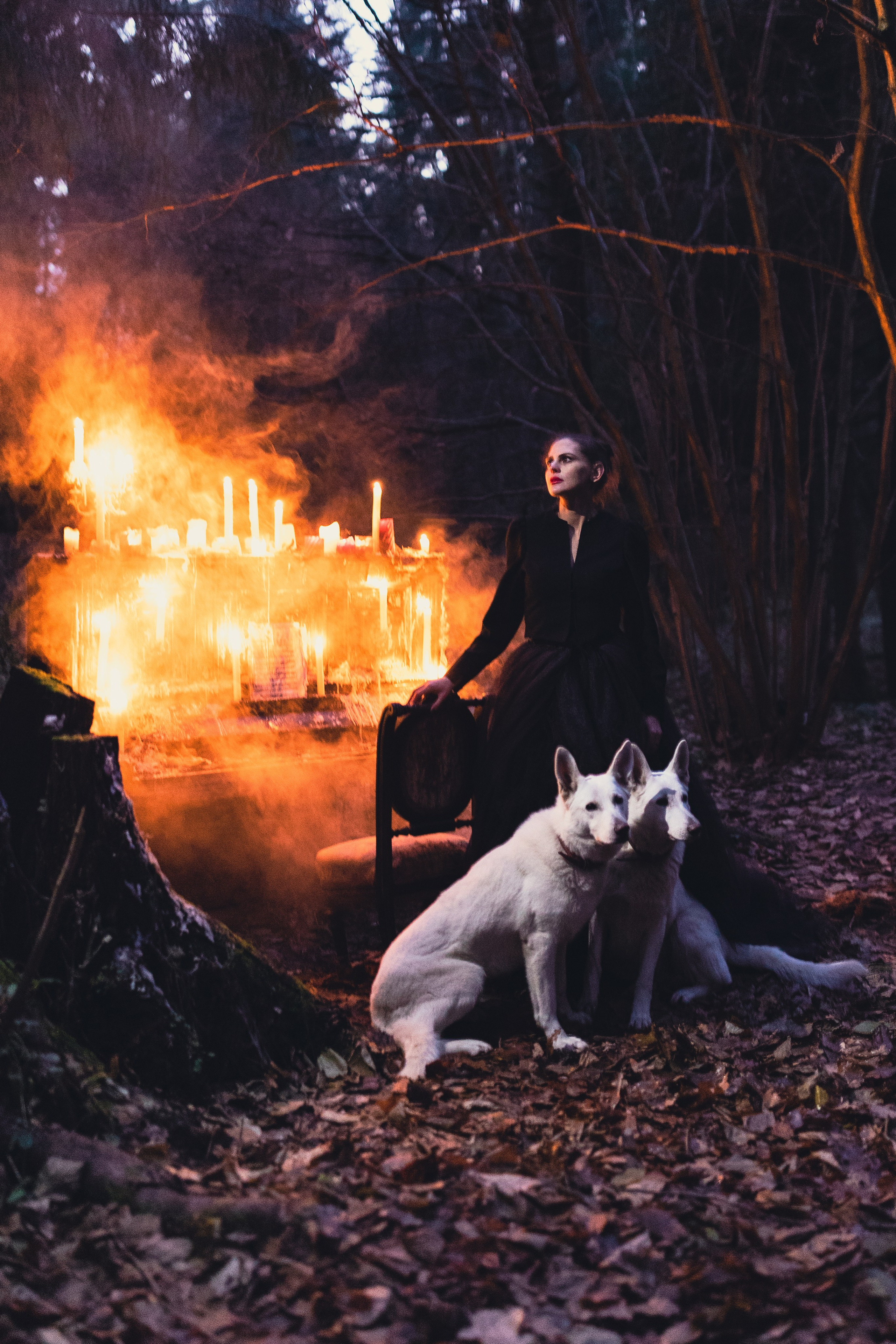 Услуги. Сказочный фотограф для Вас и Вашей семьи