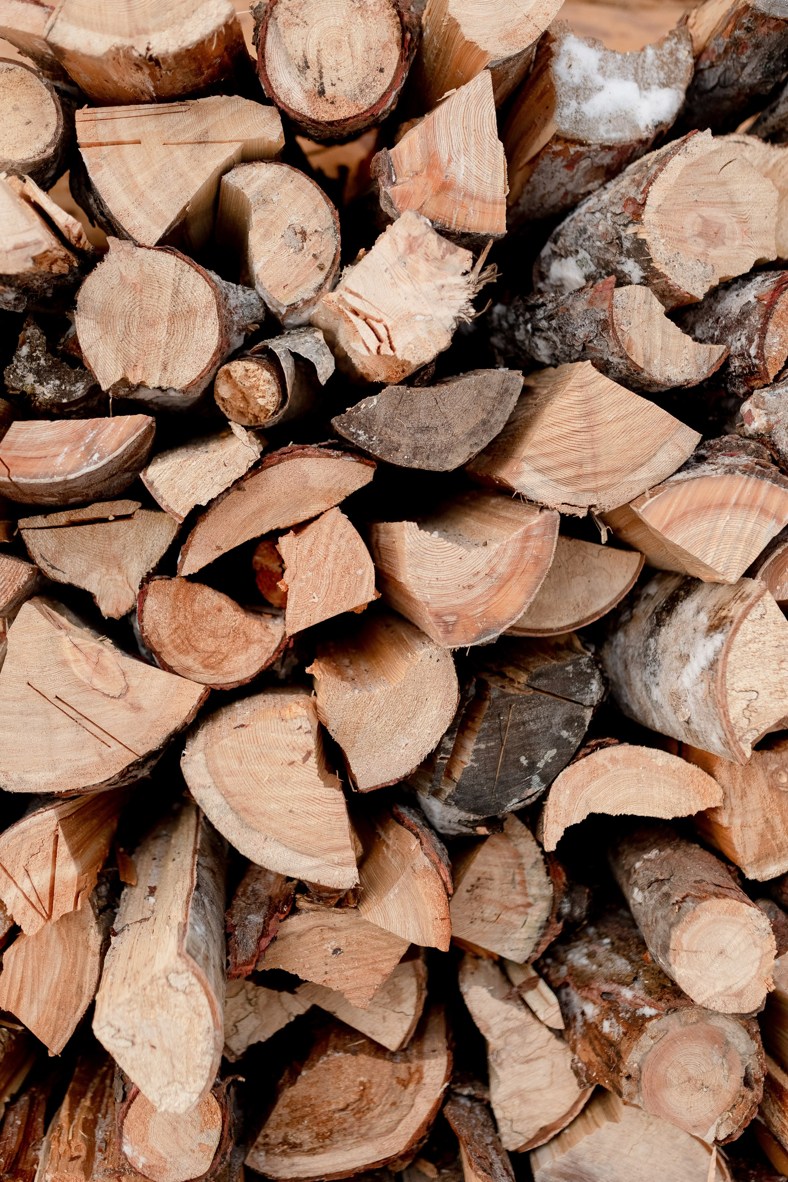 Камчатка. Главная