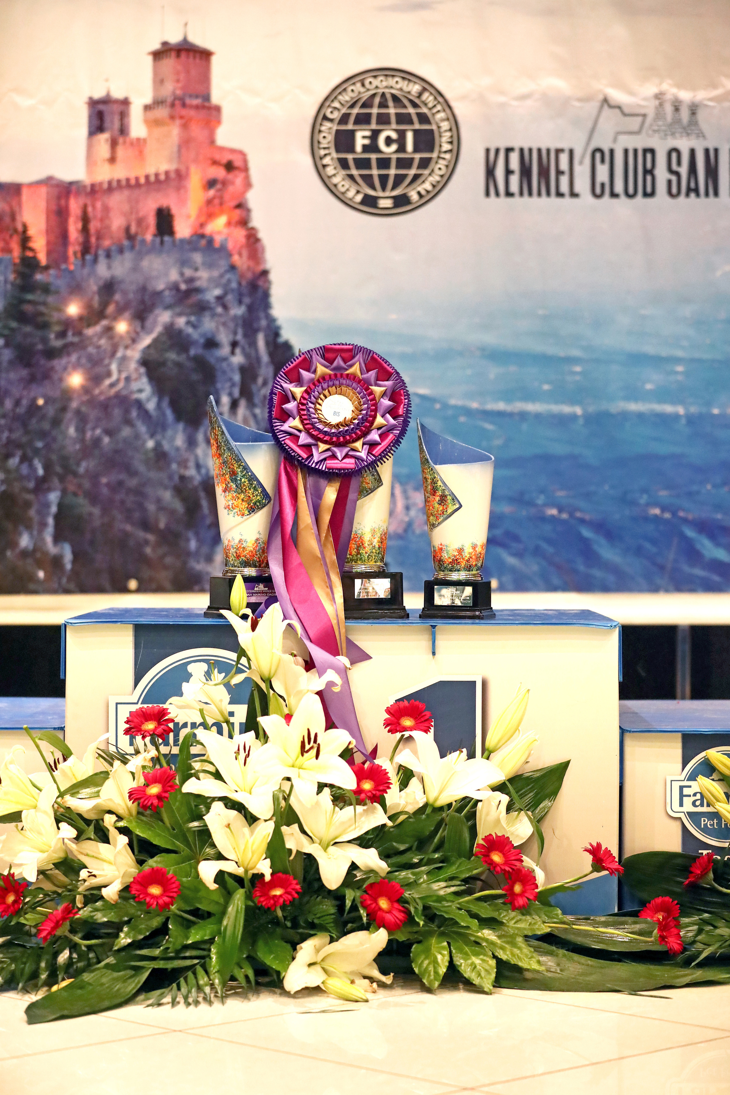 Фотограф Дмитрий Бородин