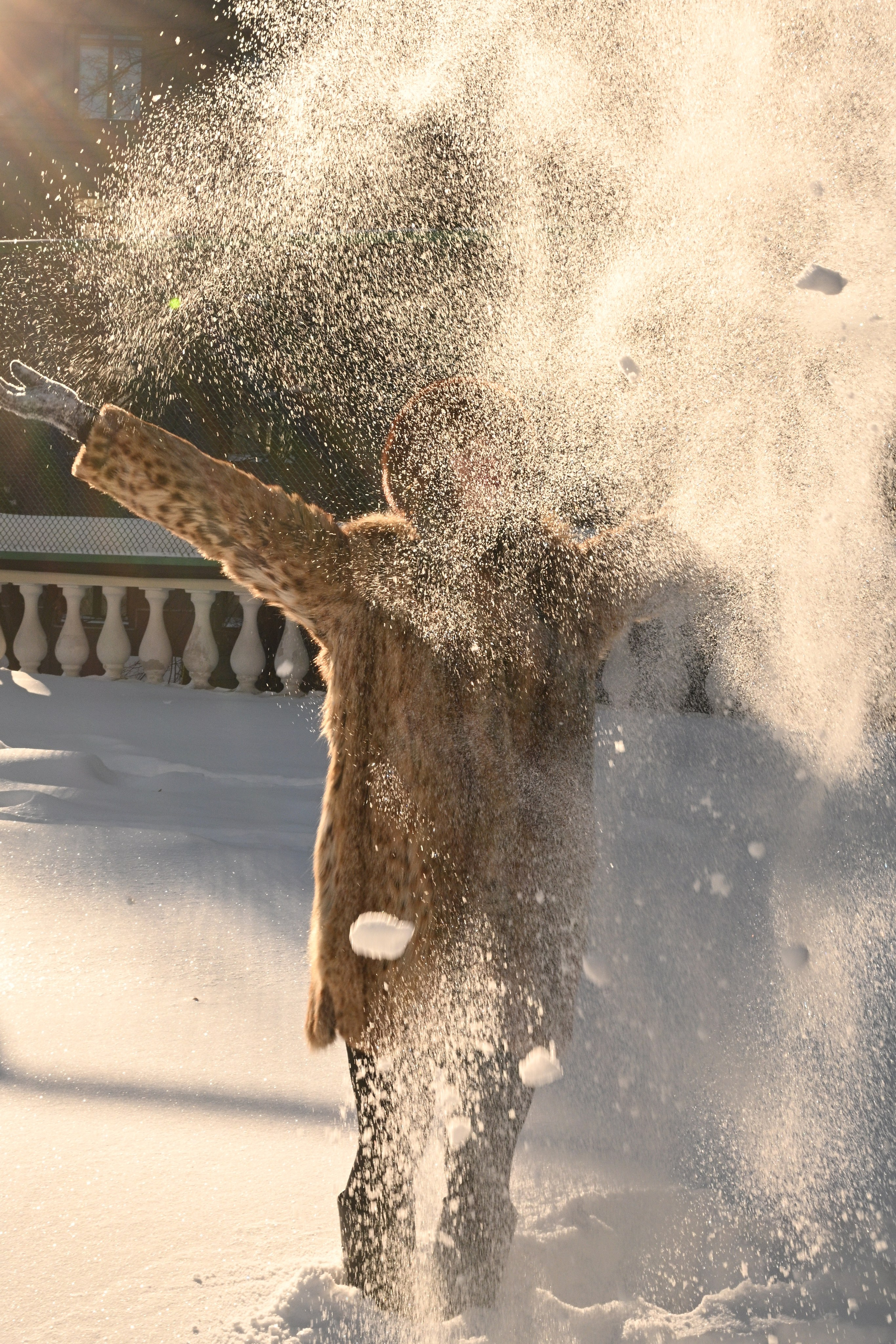 Репортажня фотосессия. Фотодень в Москве