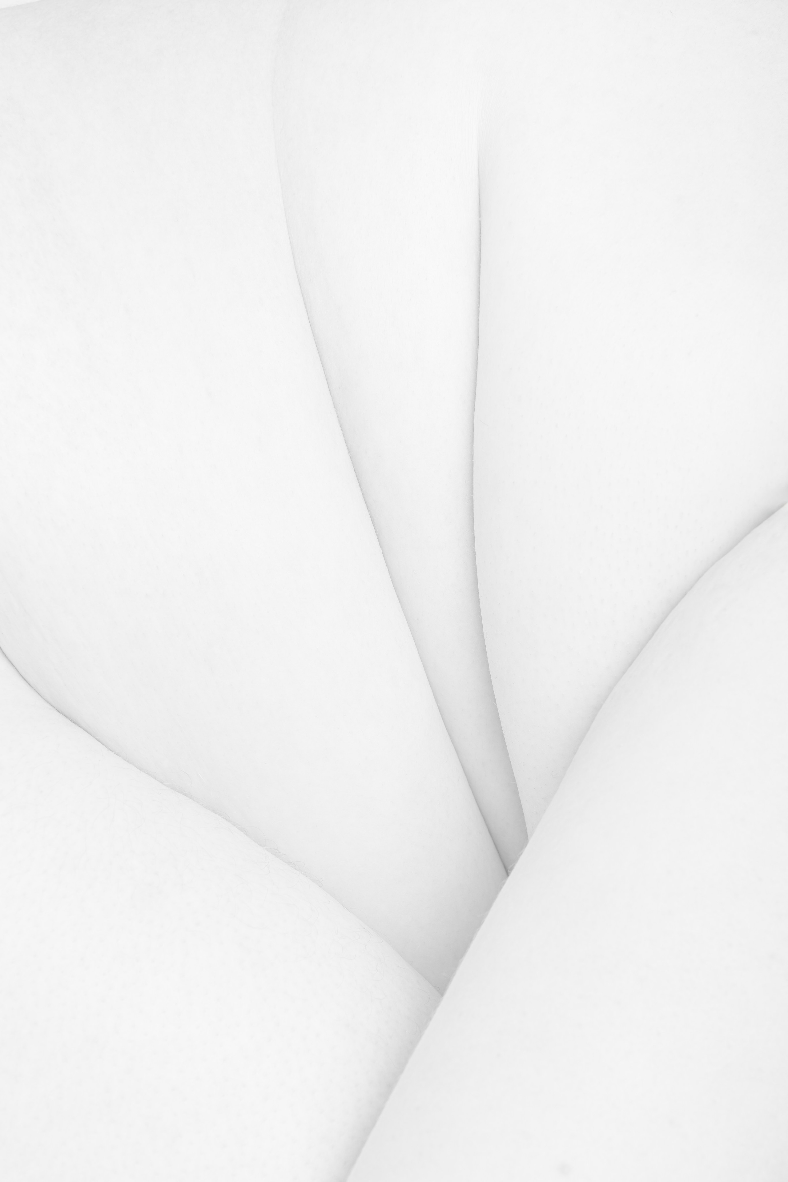Концептуальная фотография