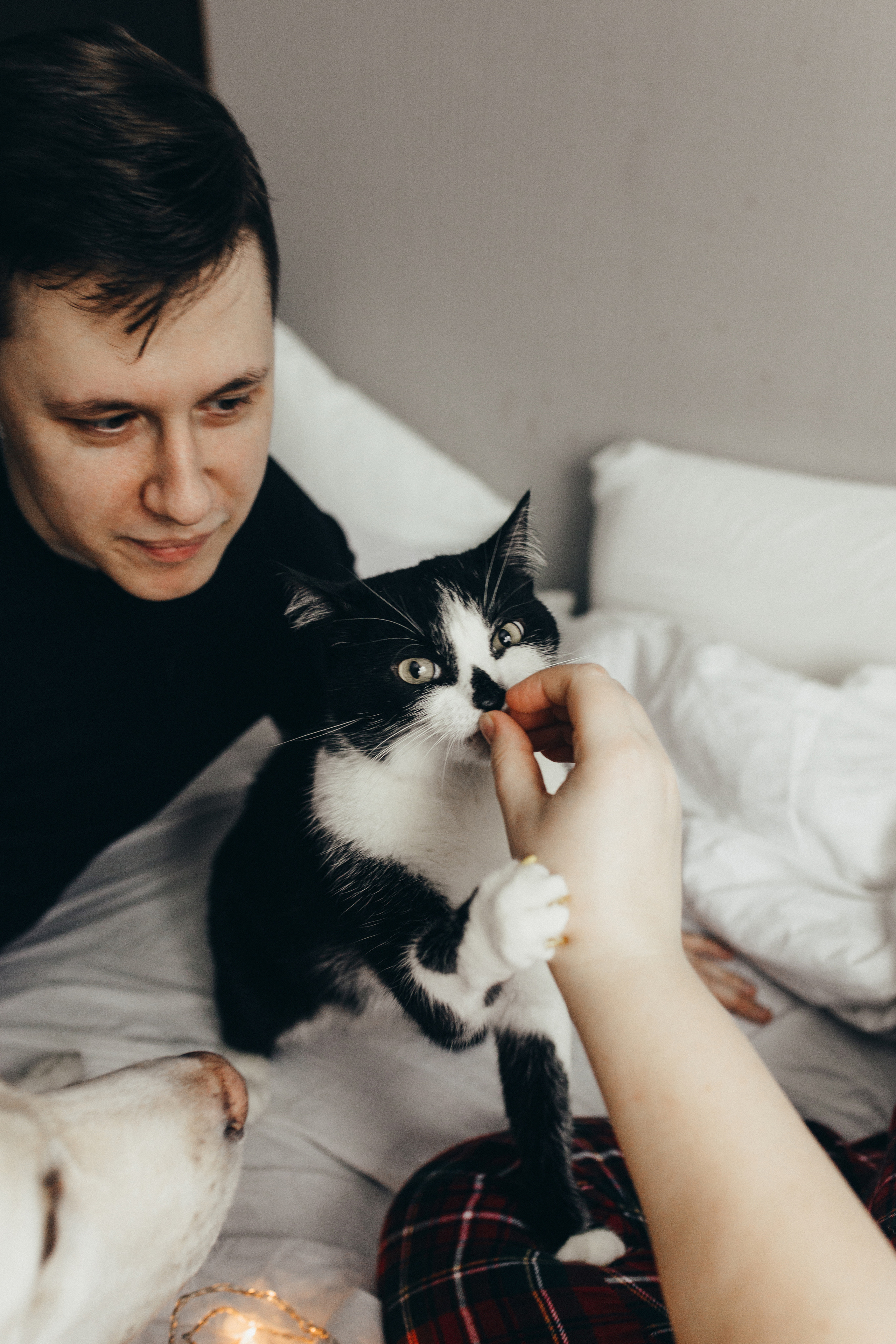 Подготовка к домашней фотосессии. Свадебный, портретный, фотограф беременности в Нижнем Новгороде Алина Зиновьева