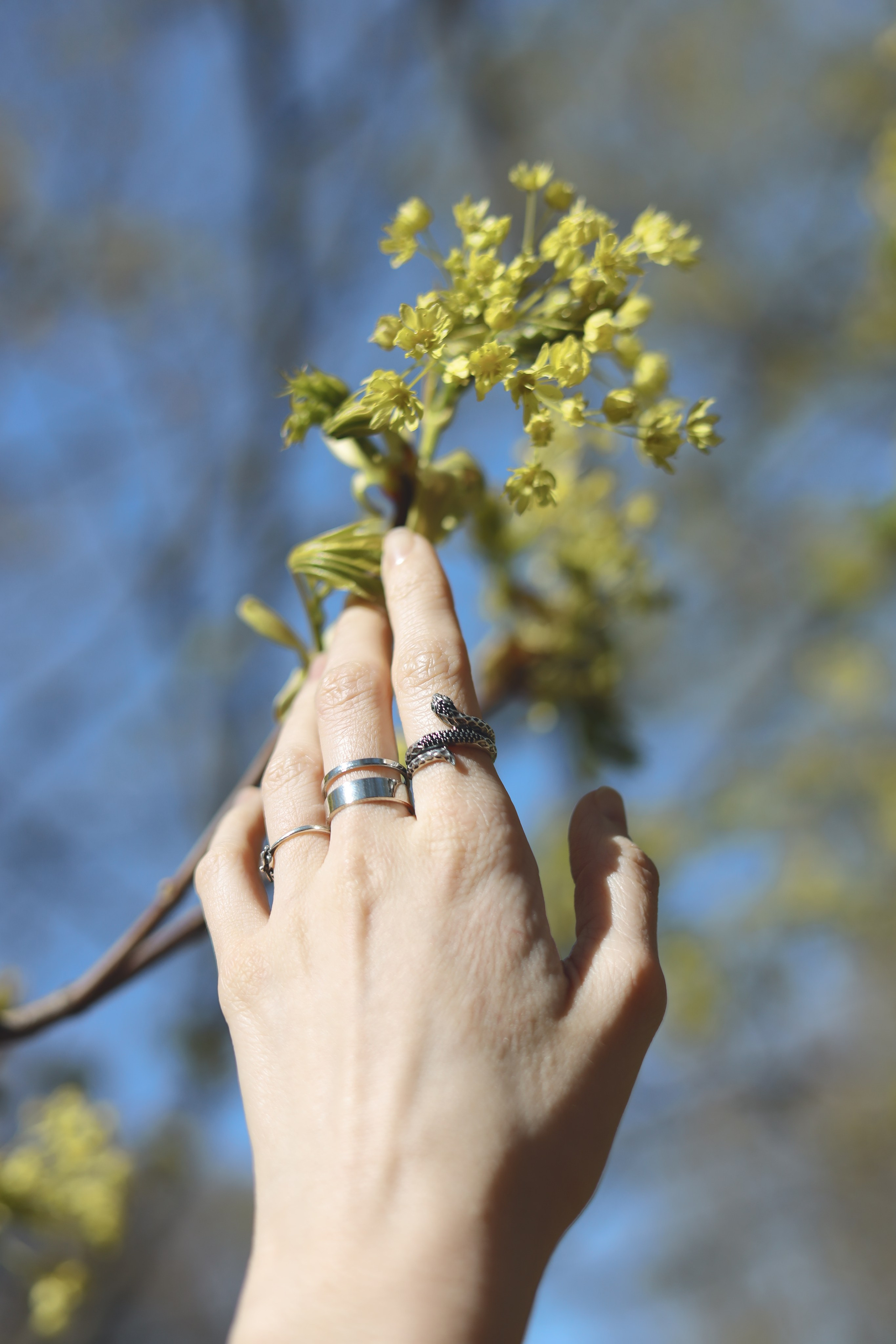 Весна в парке. Фотограф Маша Филиппова