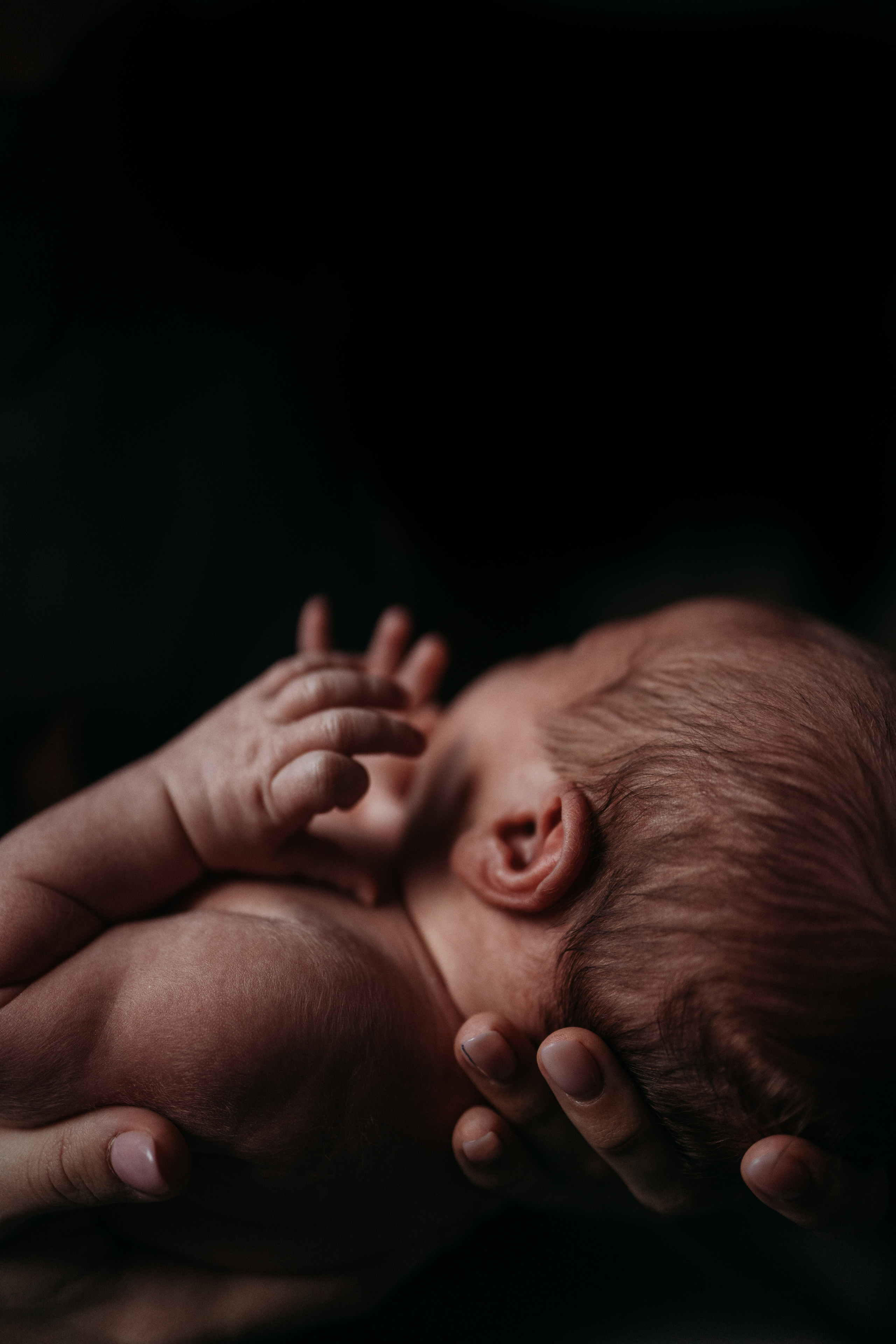 Семейный и детский фотограф в Москве Митенкова Мария