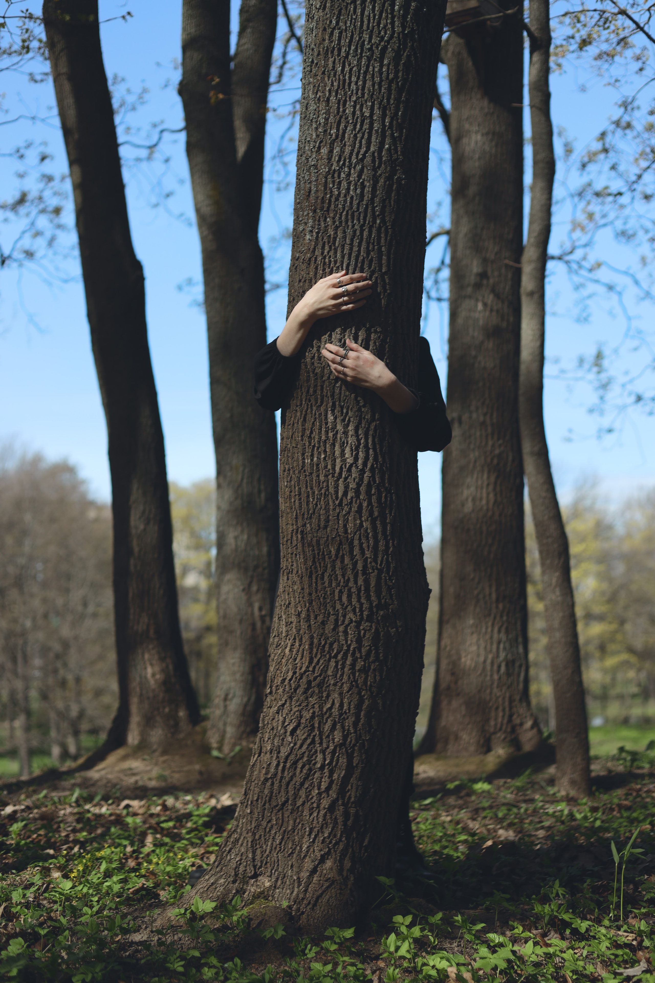 Весна в парке. Фотограф Маша Филиппова