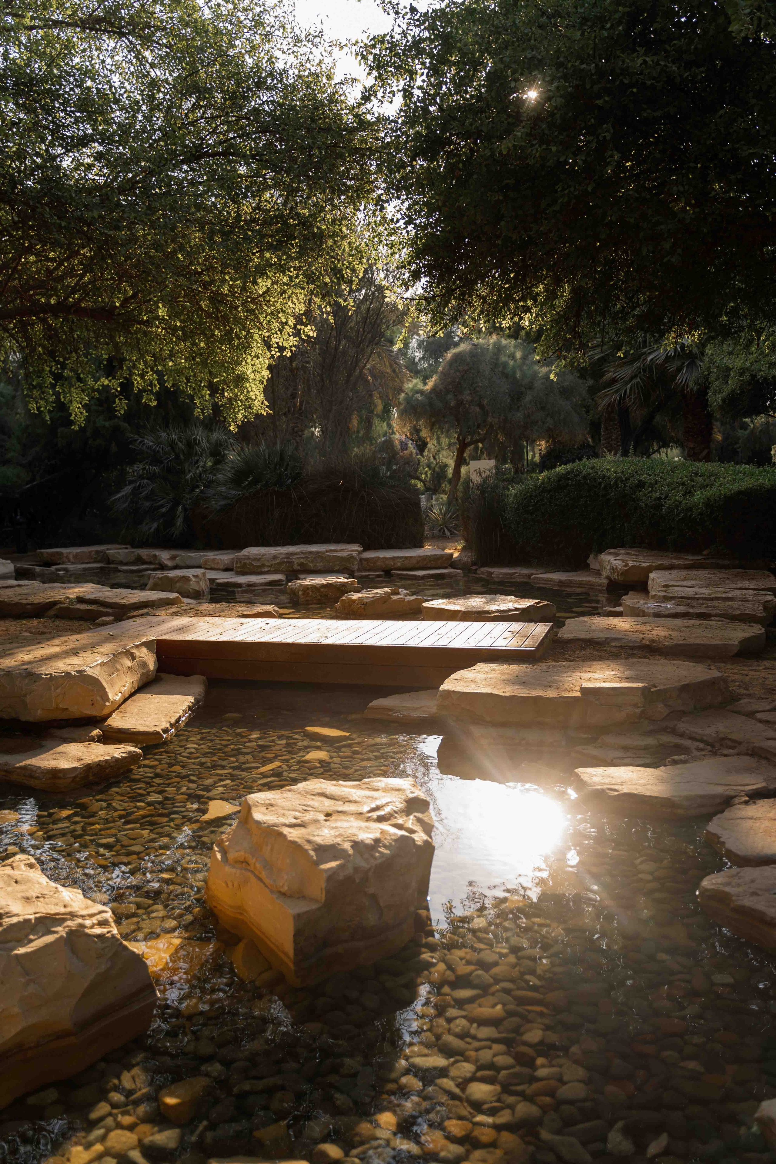 Photoshoot in Umm Emarat park | photographer Abu Dhabi