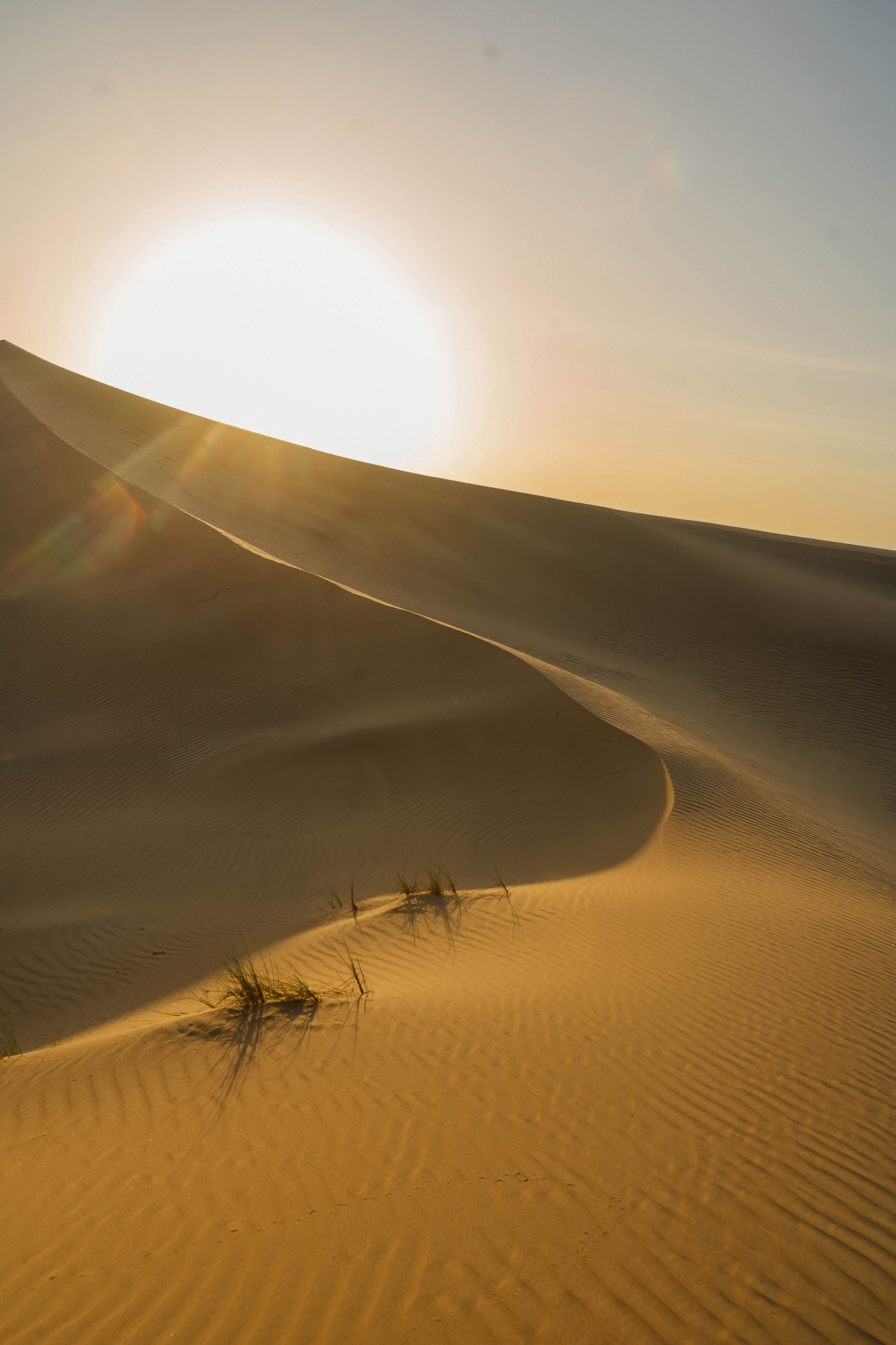 civil ceremony in Abu Dhabi court photographer