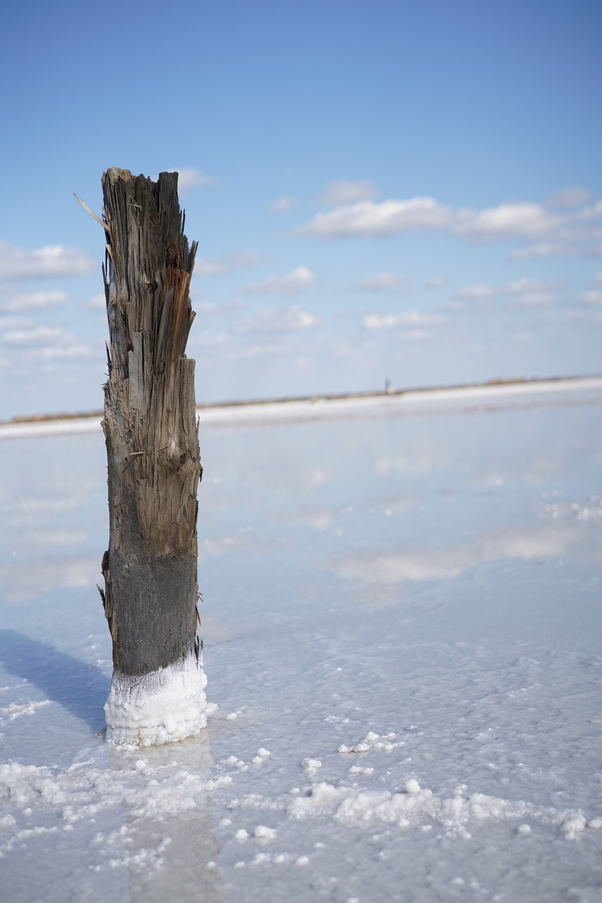 Фото-тур «Баскунчак — Богдо». Фотограф в Астрахани • Фото-туры • Виктория Герма