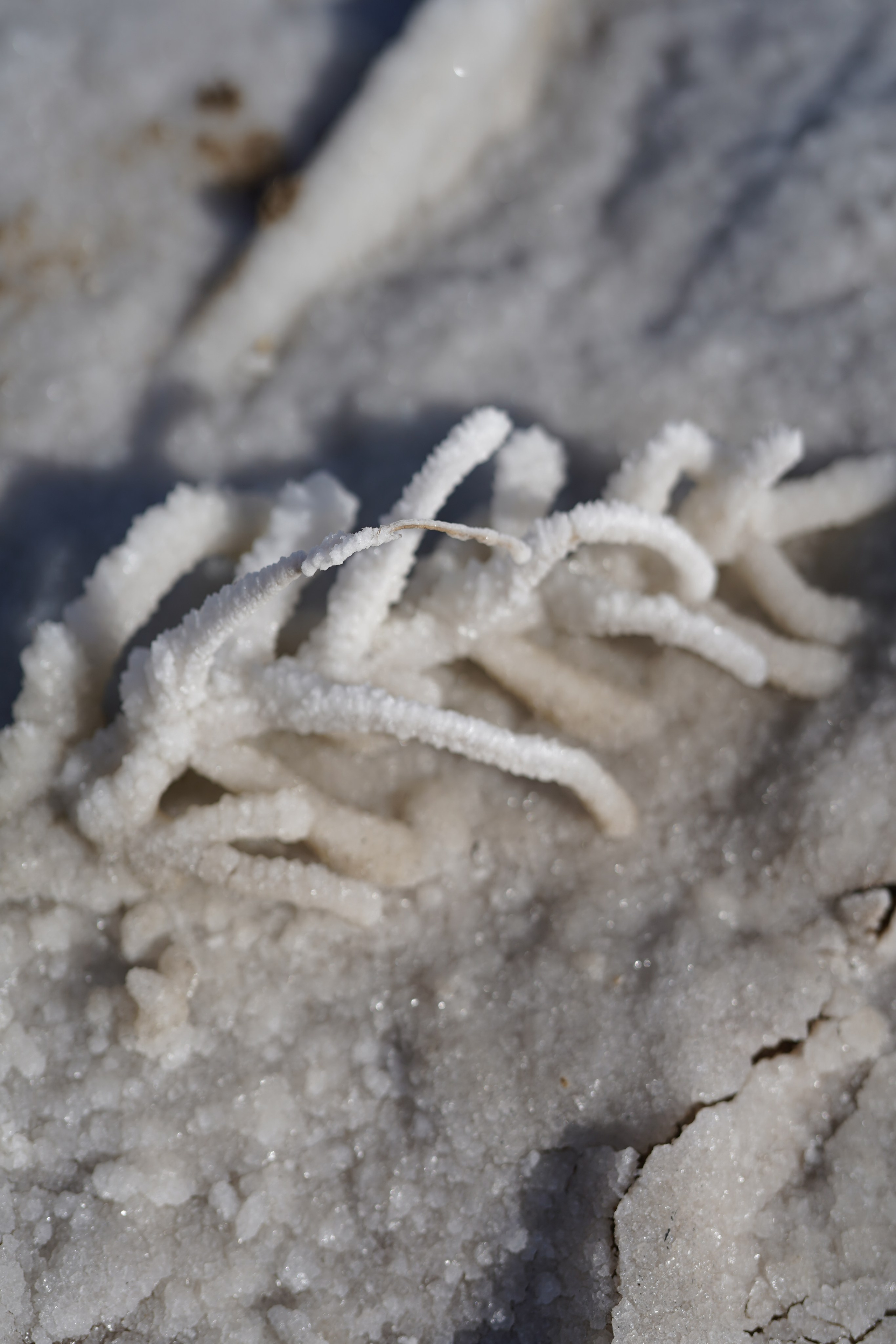 Фото-тур «Баскунчак — Богдо». Фотограф в Астрахани • Фото-туры • Виктория Герма