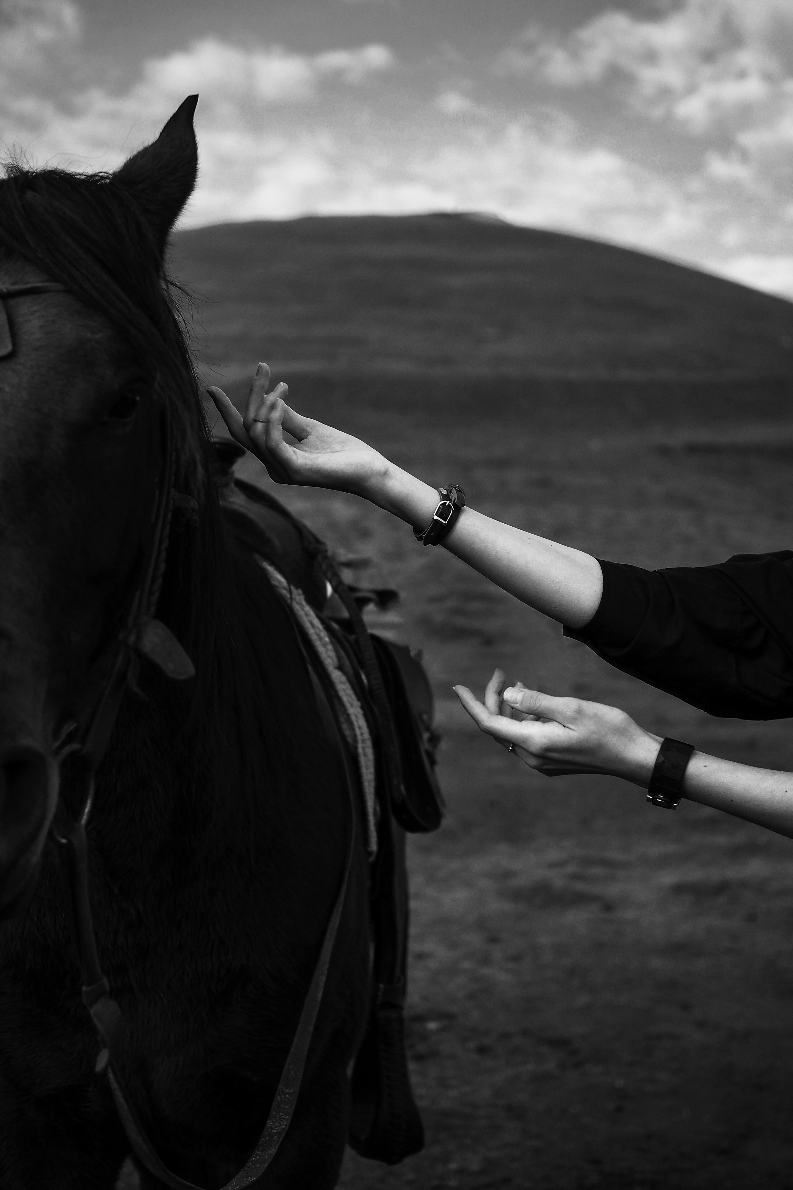 Фотограф Кисловодск / Москва Алёна Выбенгер