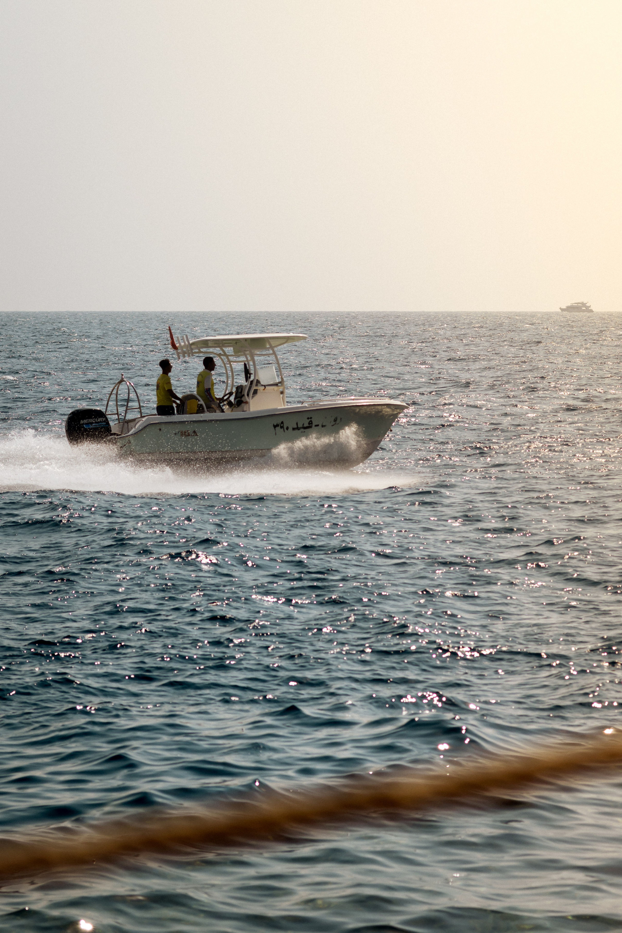 Фотограф Николай Шевченко