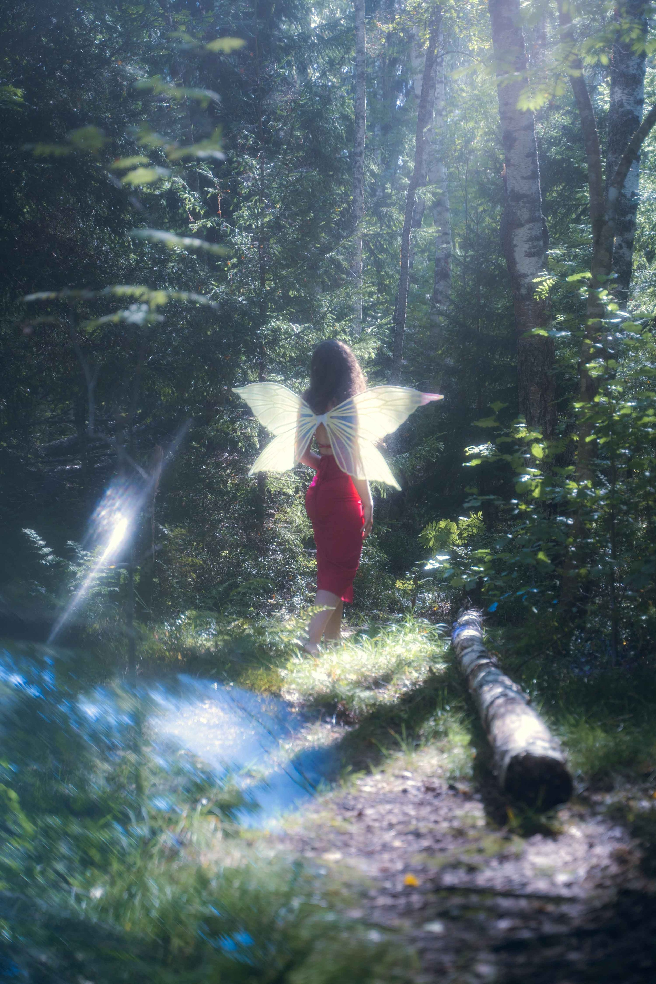 Ретриты. Лилия Гоца. Гунфу Шаолинь. Арт-фотография. Ретриты