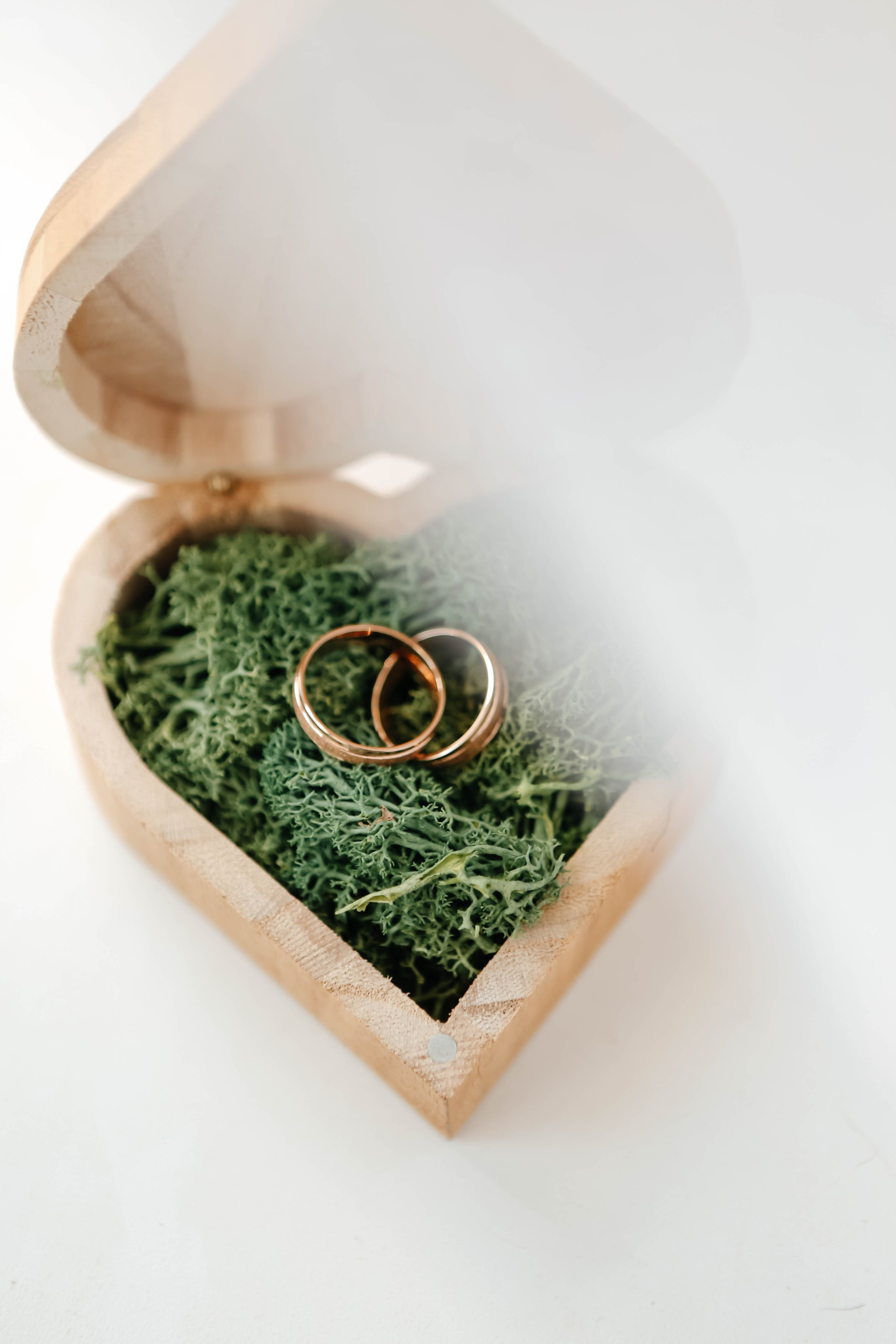 Услуги и цены. Фотограф Таня Королёк