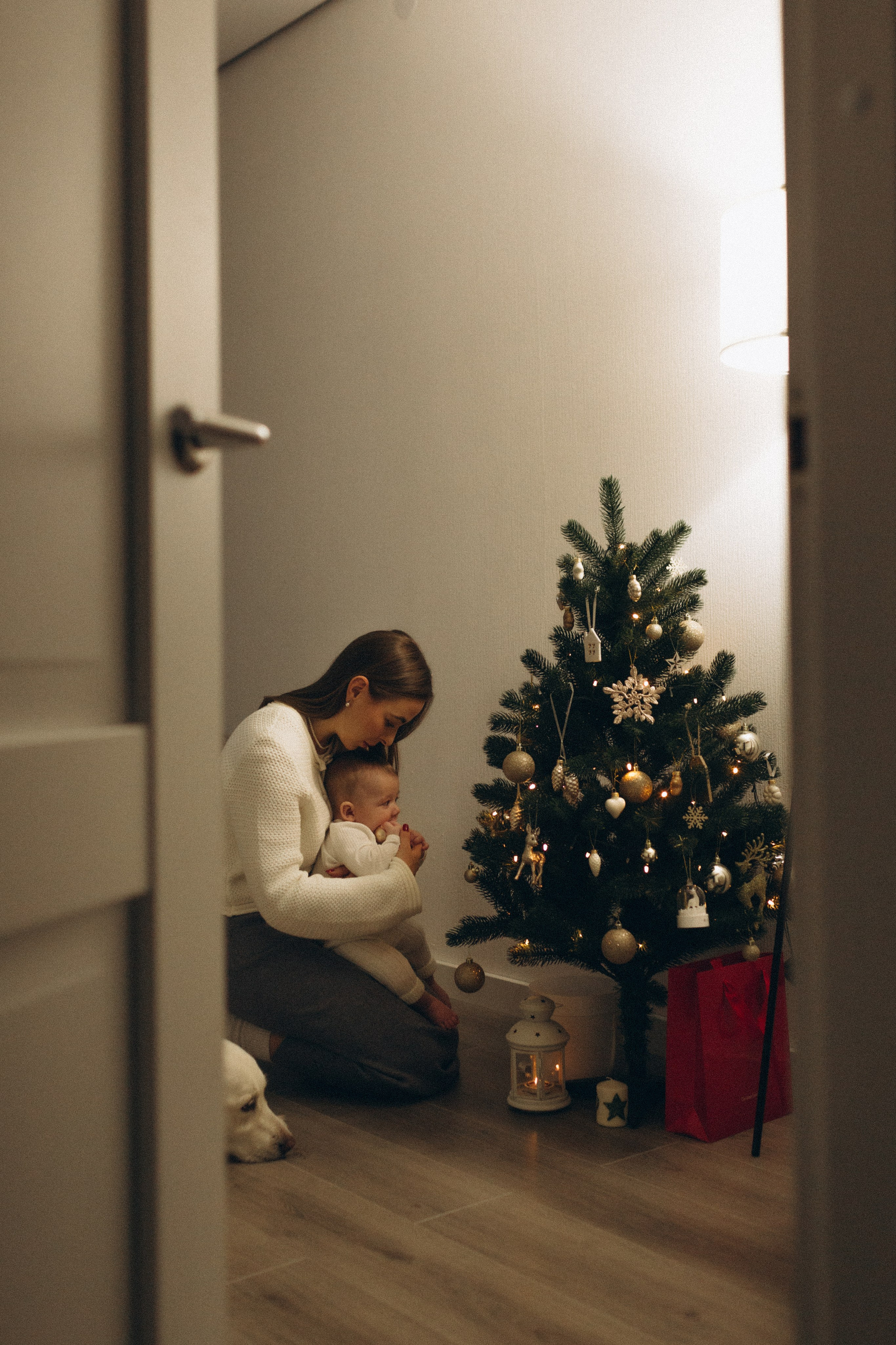 Новогодние съёмки. -