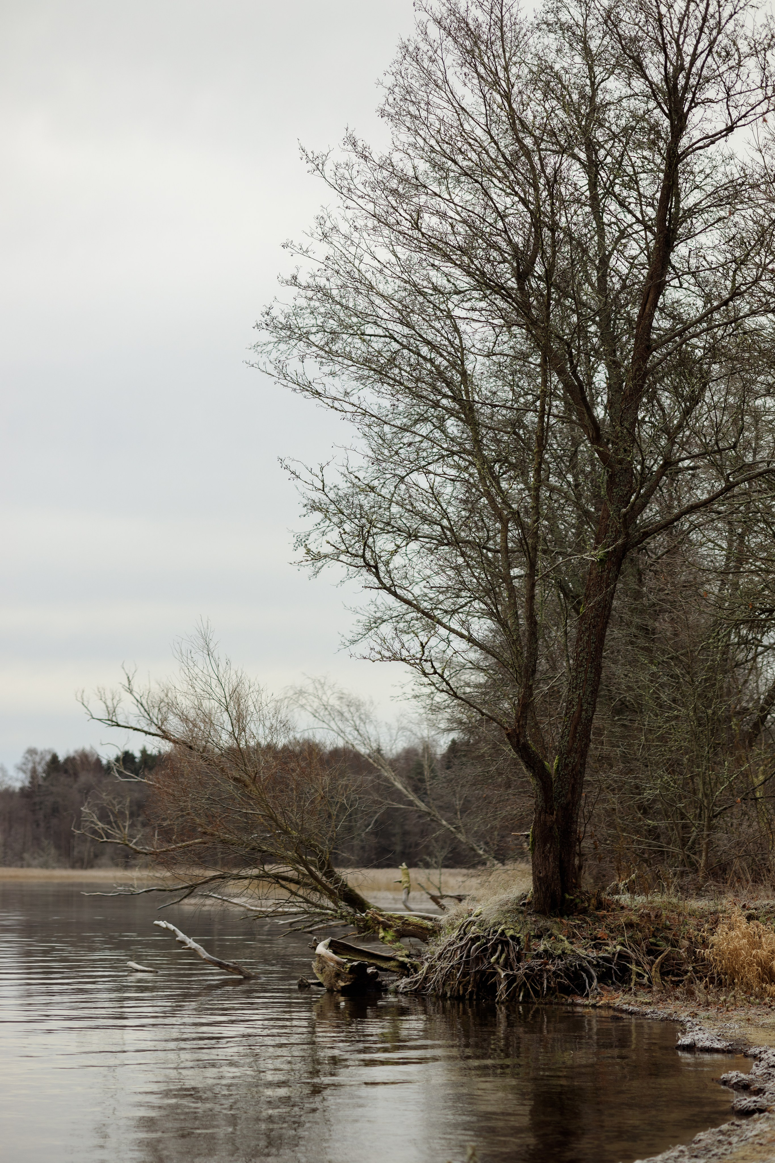 5 причин провести осеннюю съёмку на природе. Семейный фотограф в Калининграде Надежда Гриднева