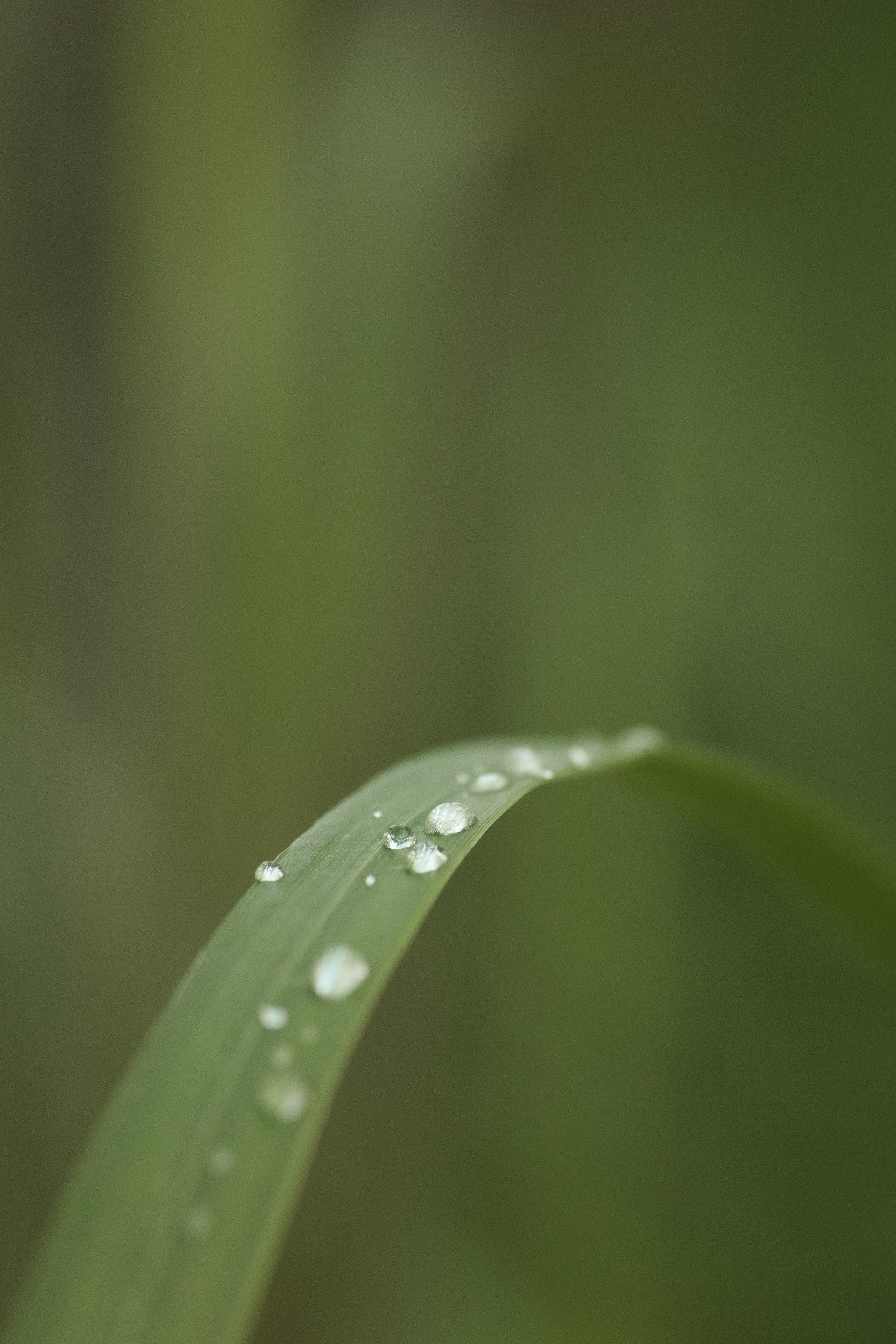 Какого цвета август?. Семейный фотограф в Калининграде Надежда Гриднева