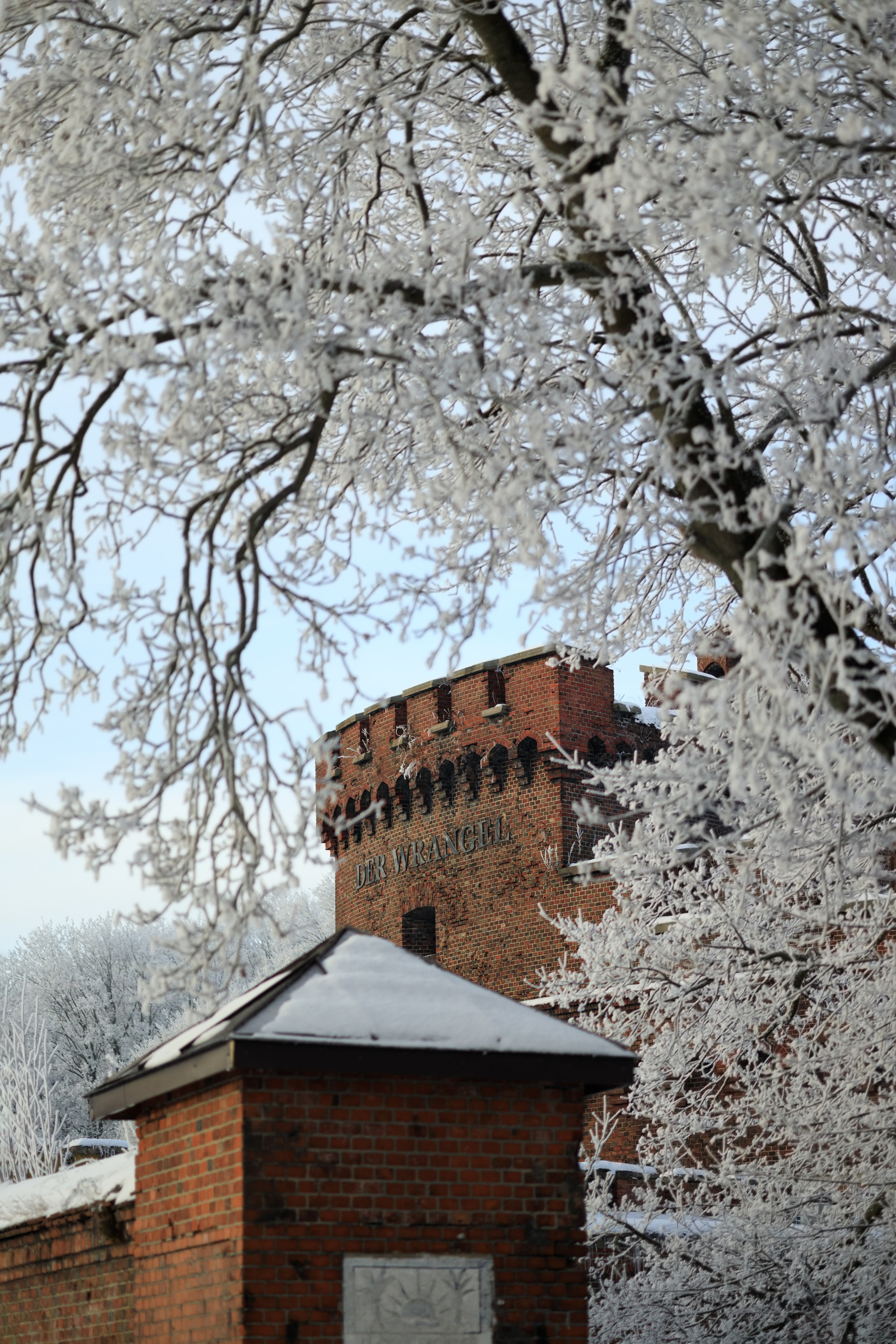 15 ингредиентов: мой рецепт уютного февраля. Семейный фотограф в Калининграде Надежда Гриднева