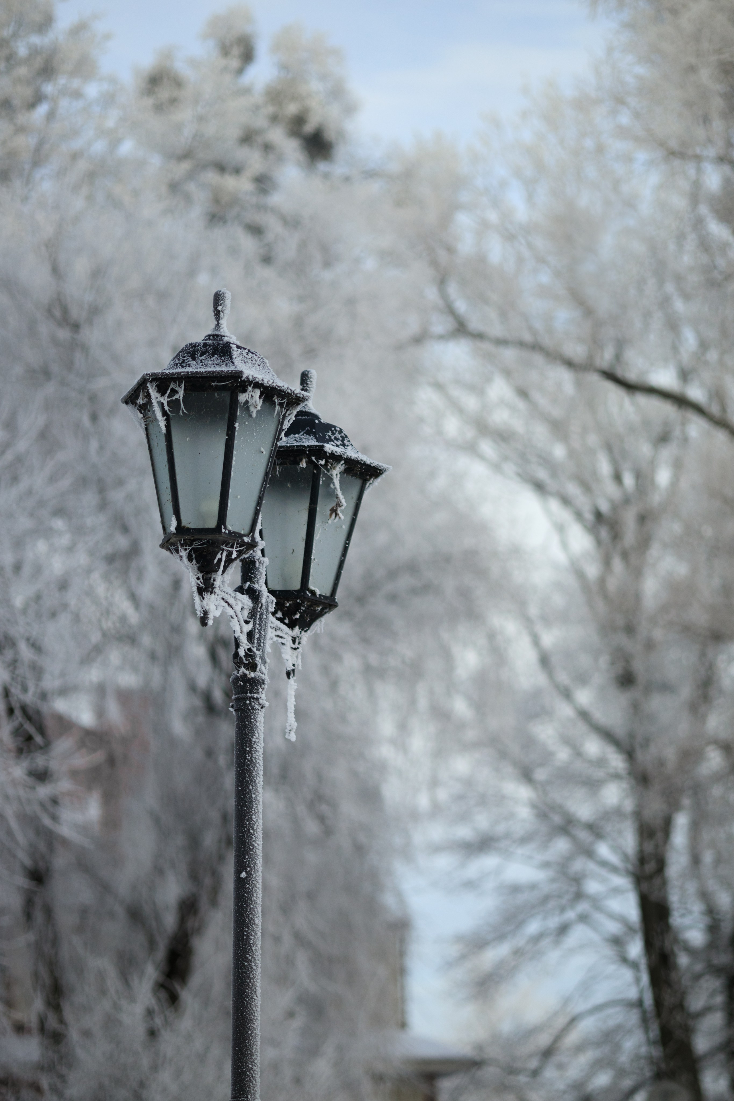 15 ингредиентов: мой рецепт уютного февраля. Семейный фотограф в Калининграде Надежда Гриднева