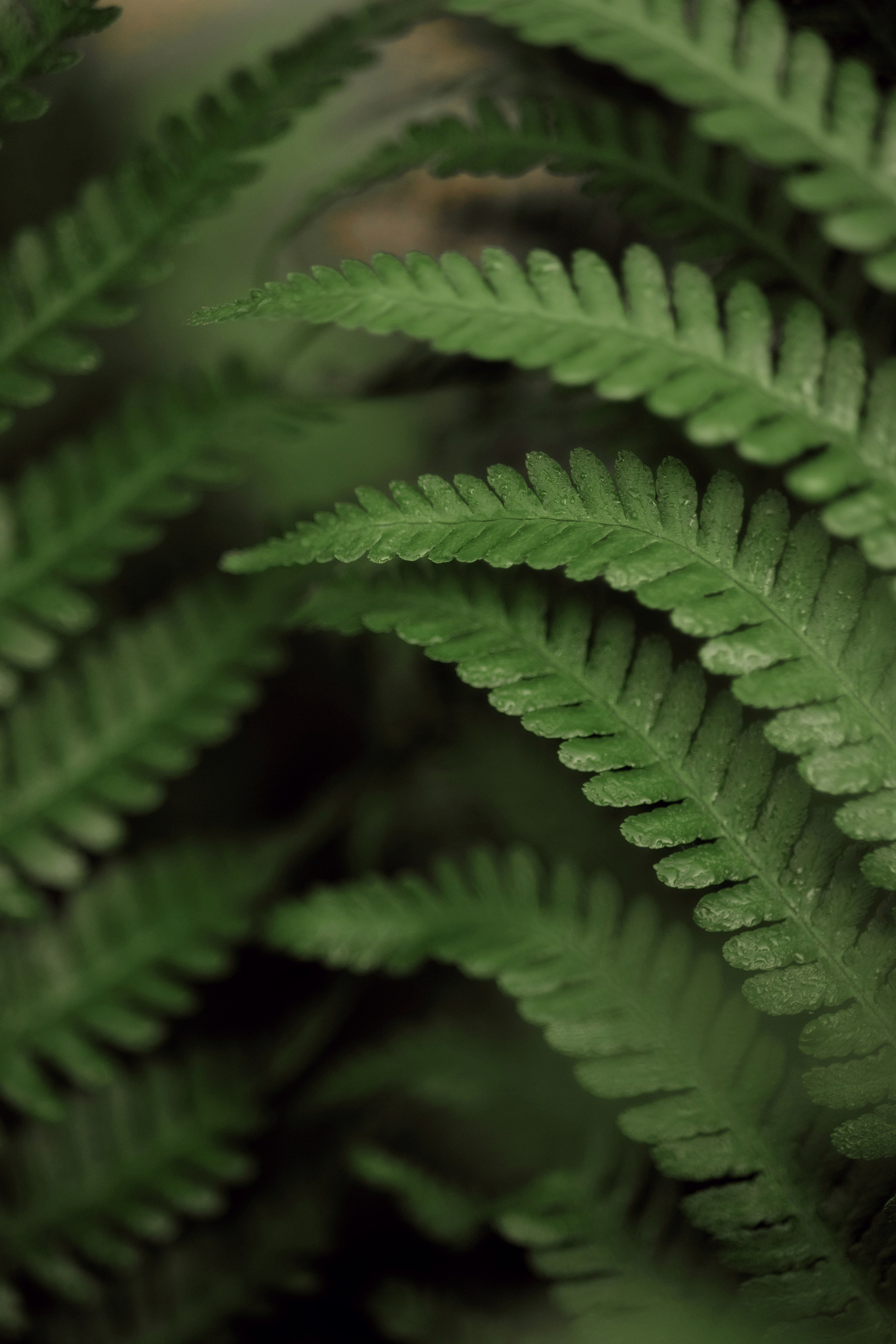 Какого цвета август?. Семейный фотограф в Калининграде Надежда Гриднева