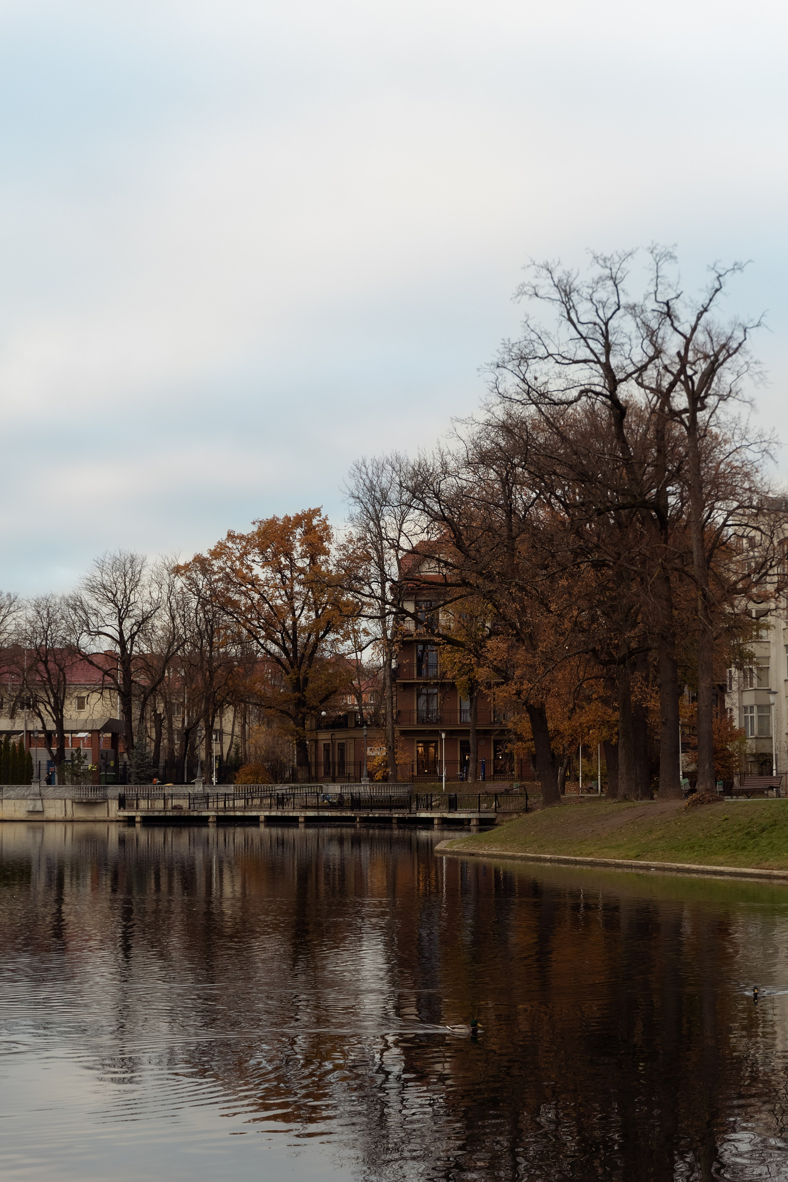 Поздняя осень в Калининграде. Семейный фотограф в Калининграде Надежда Гриднева