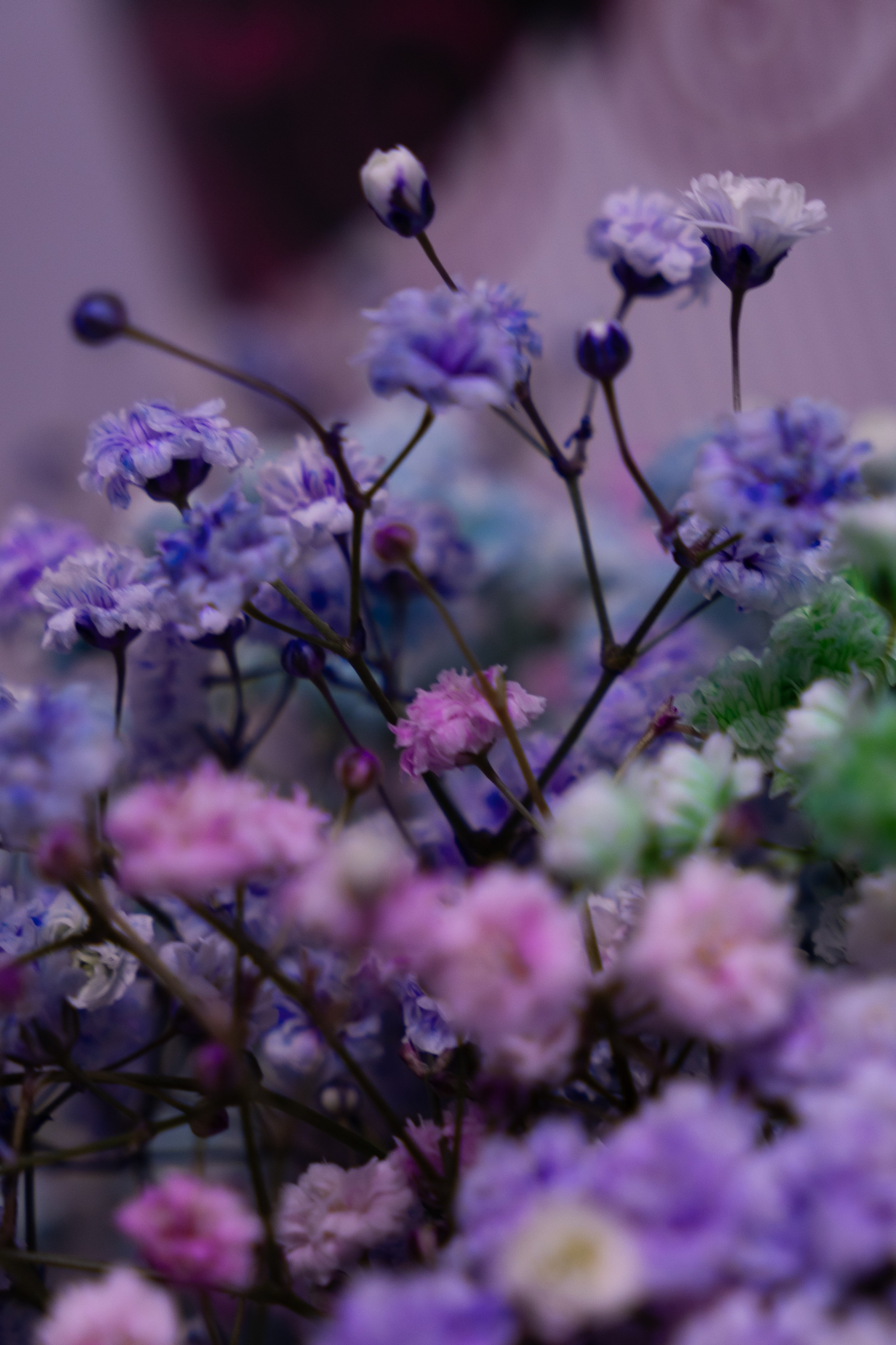 Портфолио. Контентная съёмка в Курске | Юлия Болычева