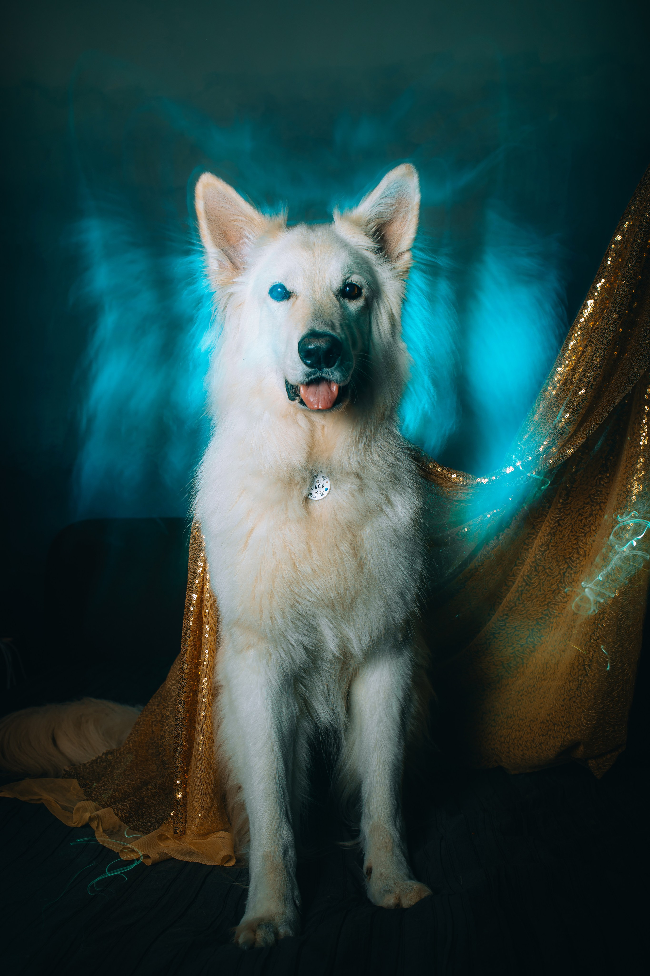 Как снимать со смешанным светом: создаем магию в кадре