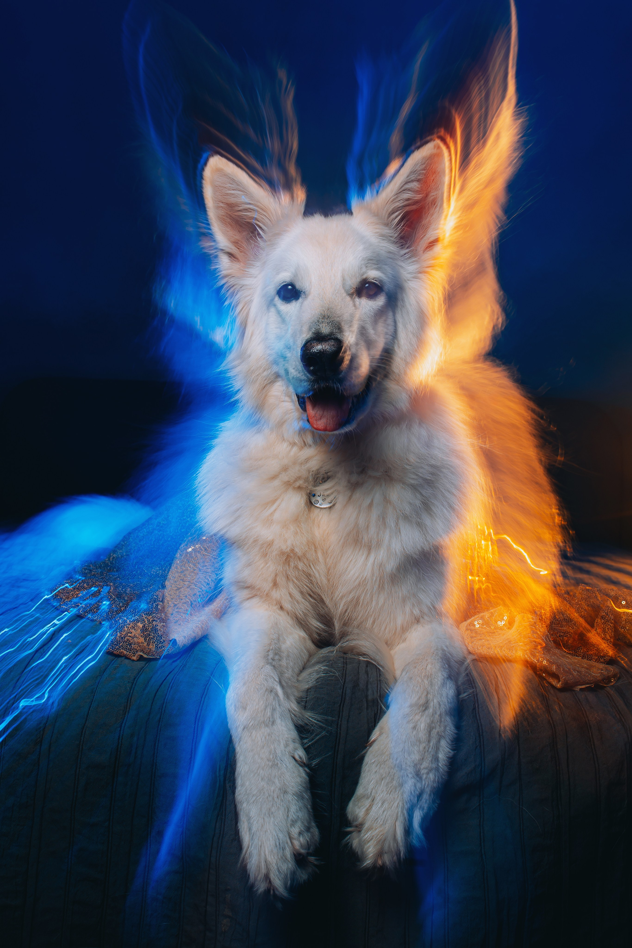 Как снимать со смешанным светом: создаем магию в кадре