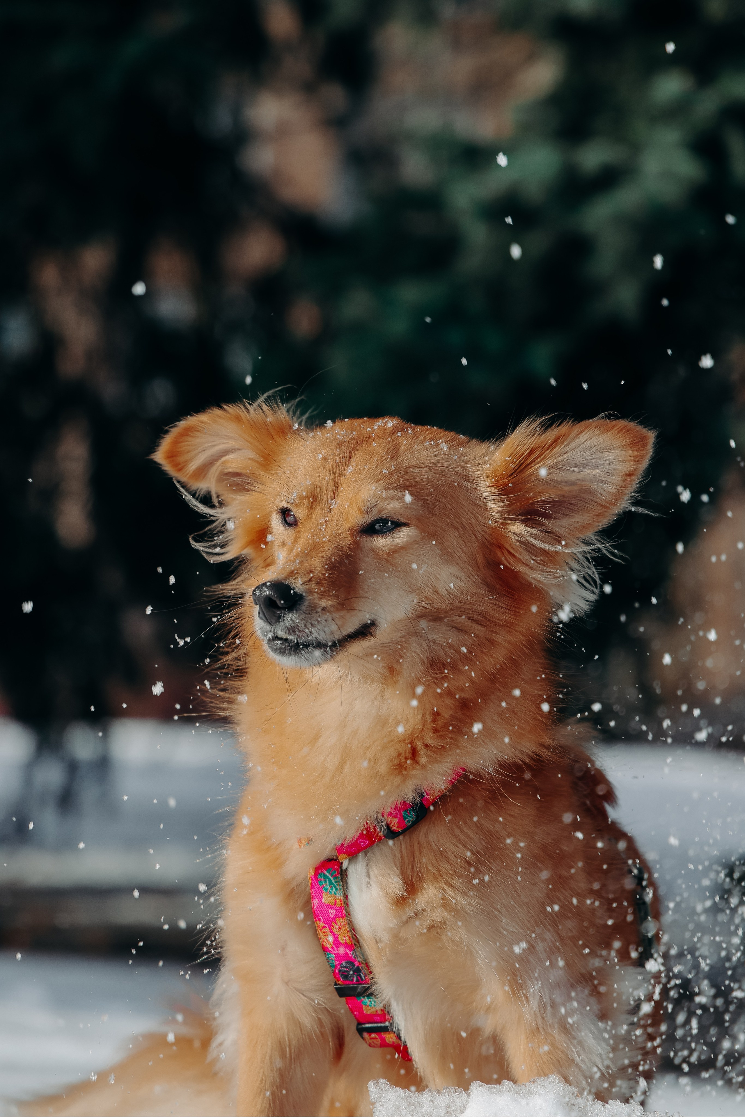 Валерия Гуртовая | Фотограф, Санкт-Петербург