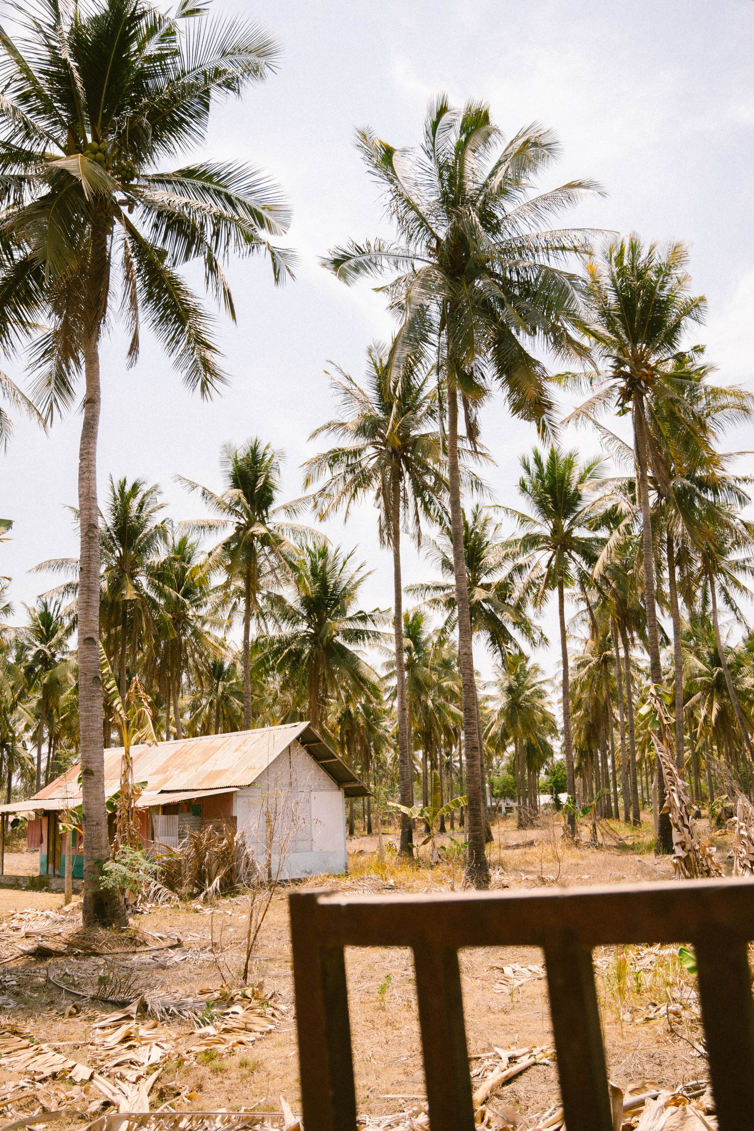 Гили Траванган (Индонезия). Ольга Антипова — фотограф