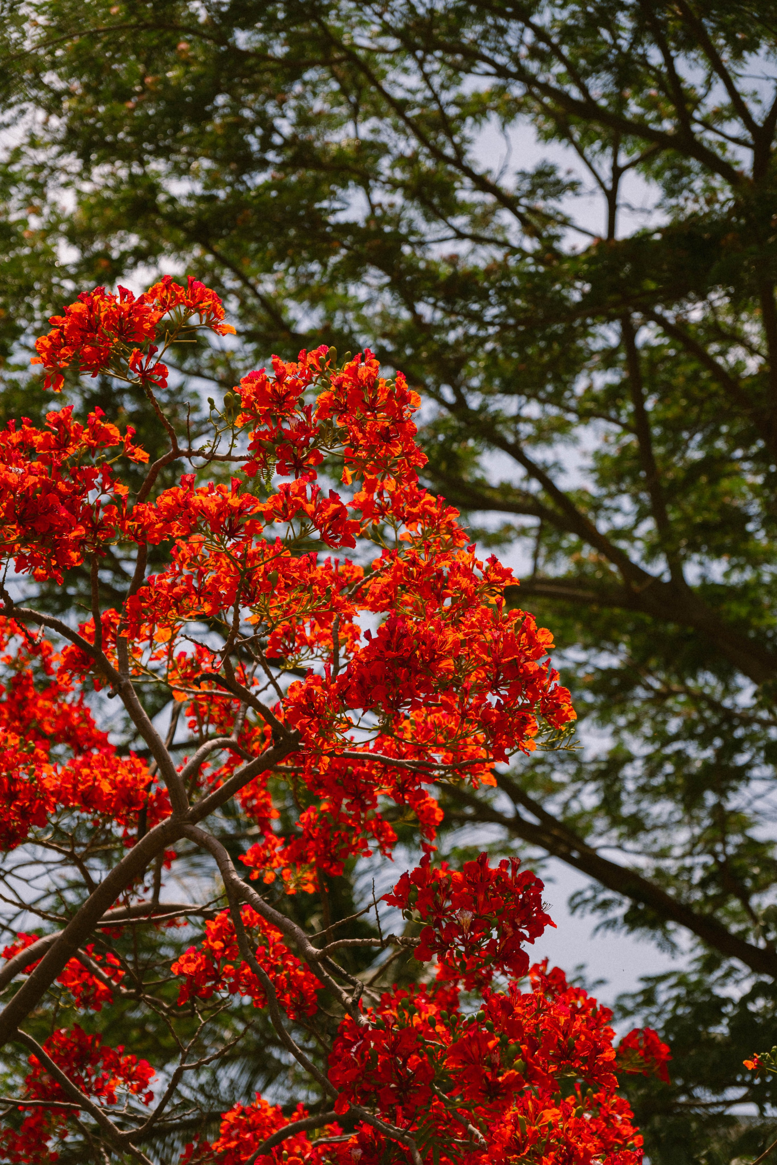 Гили Траванган (Индонезия). Ольга Антипова — фотограф