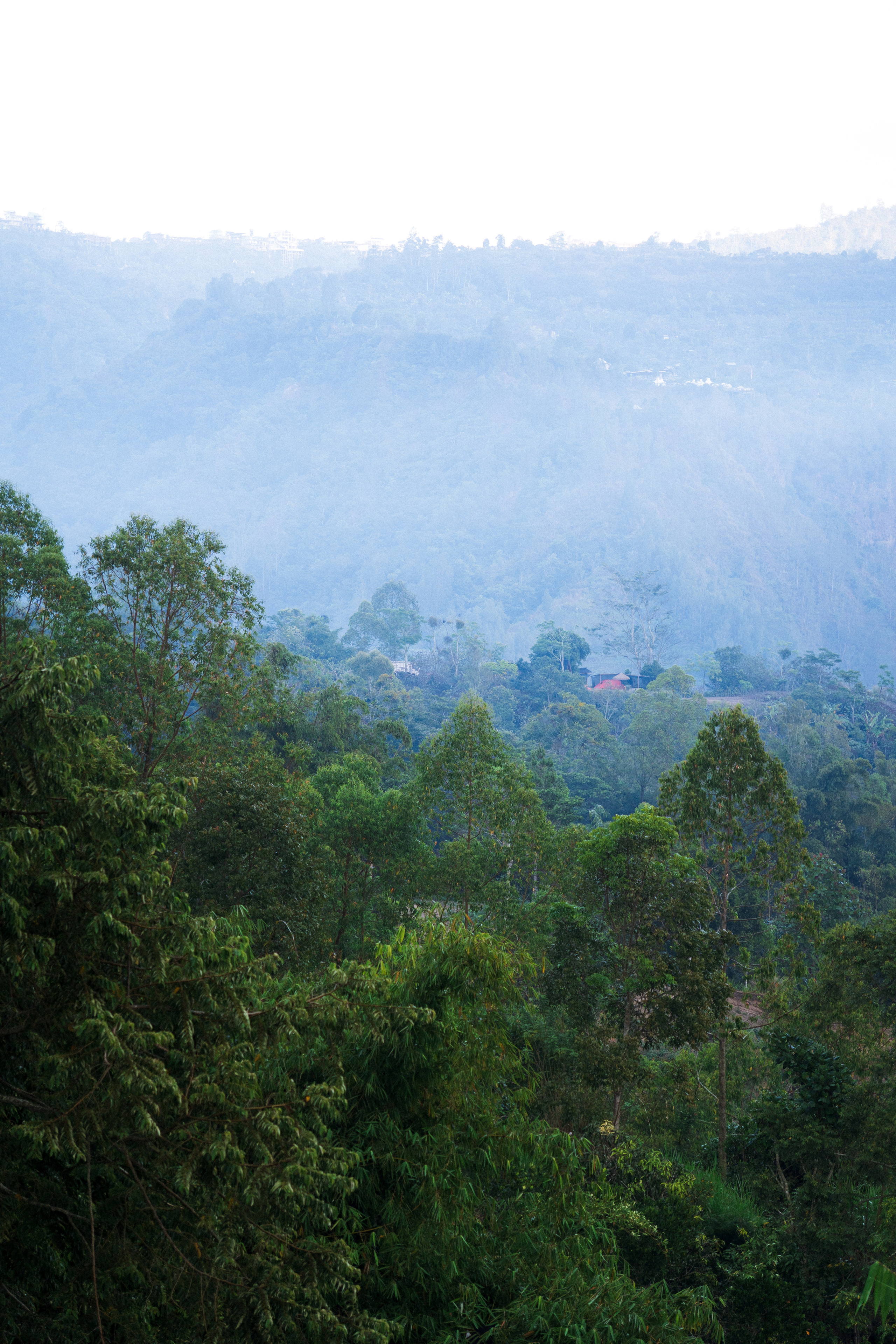Регион Кинтамани (Бали). Ольга Антипова — фотограф