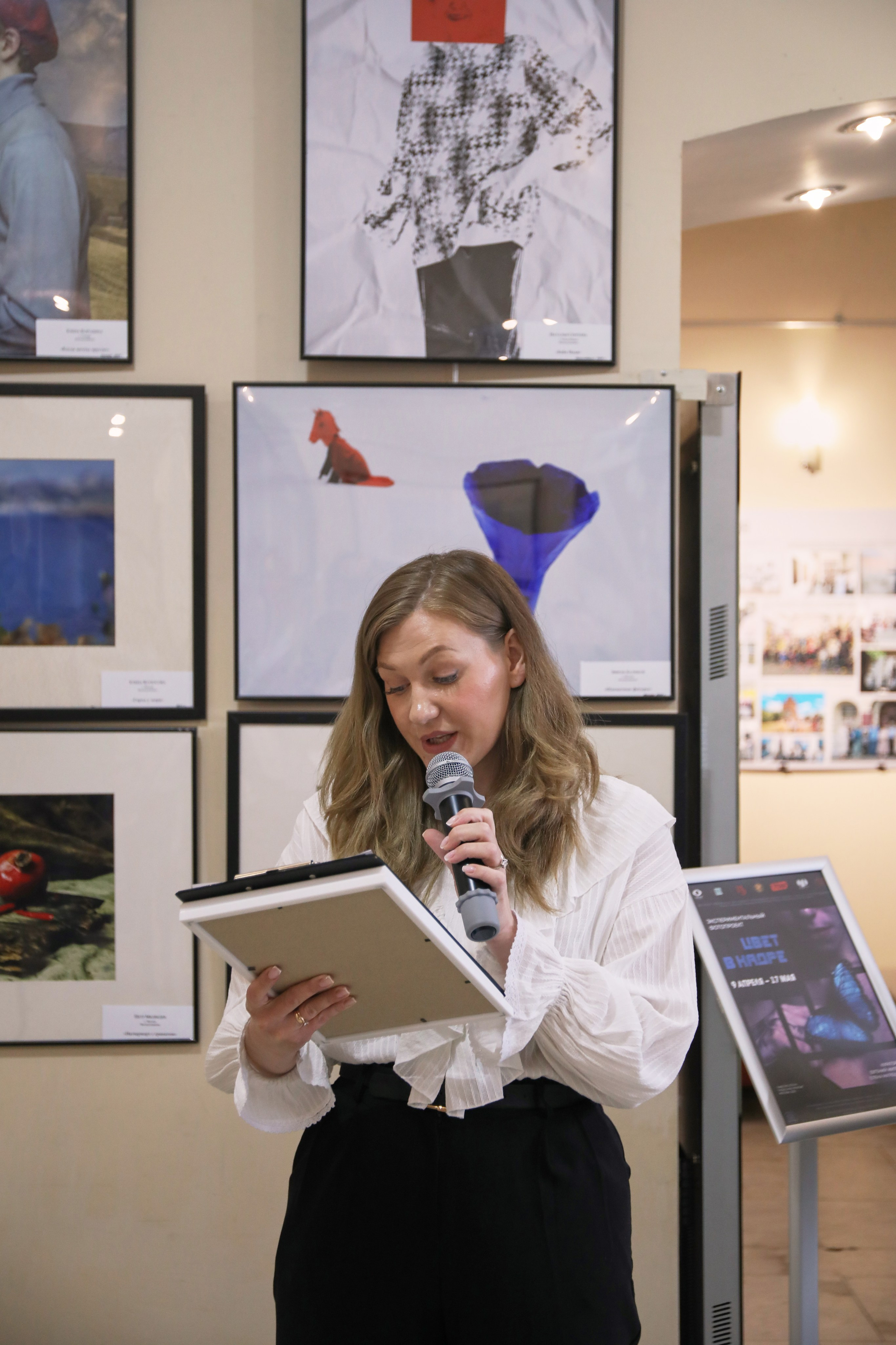 Выставка цвет в кадре в Коломенской картинной галерее «Дом Озерова». Дударева Наталия фотограф Москва