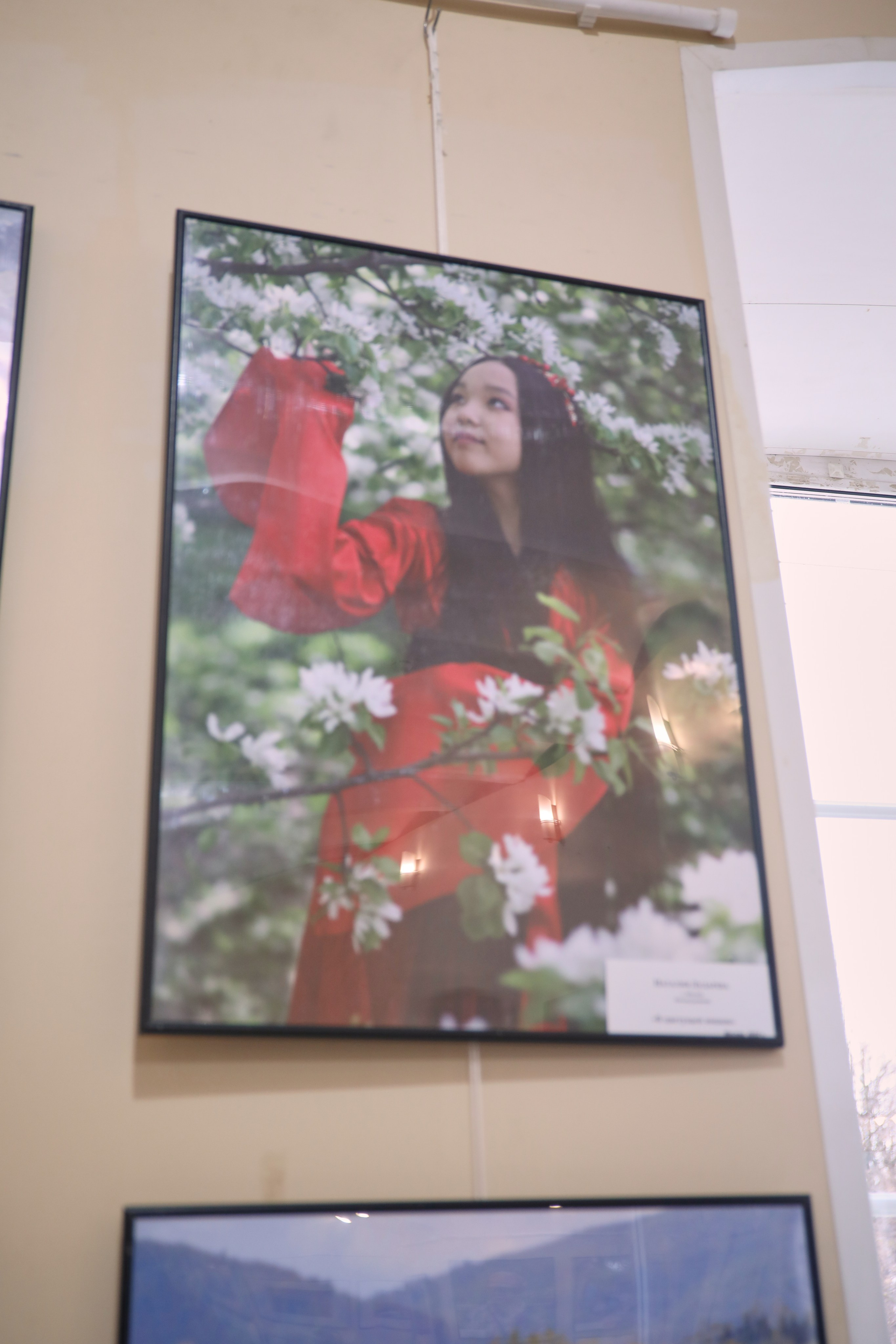 Выставка цвет в кадре в Коломенской картинной галерее «Дом Озерова». Дударева Наталия фотограф Москва