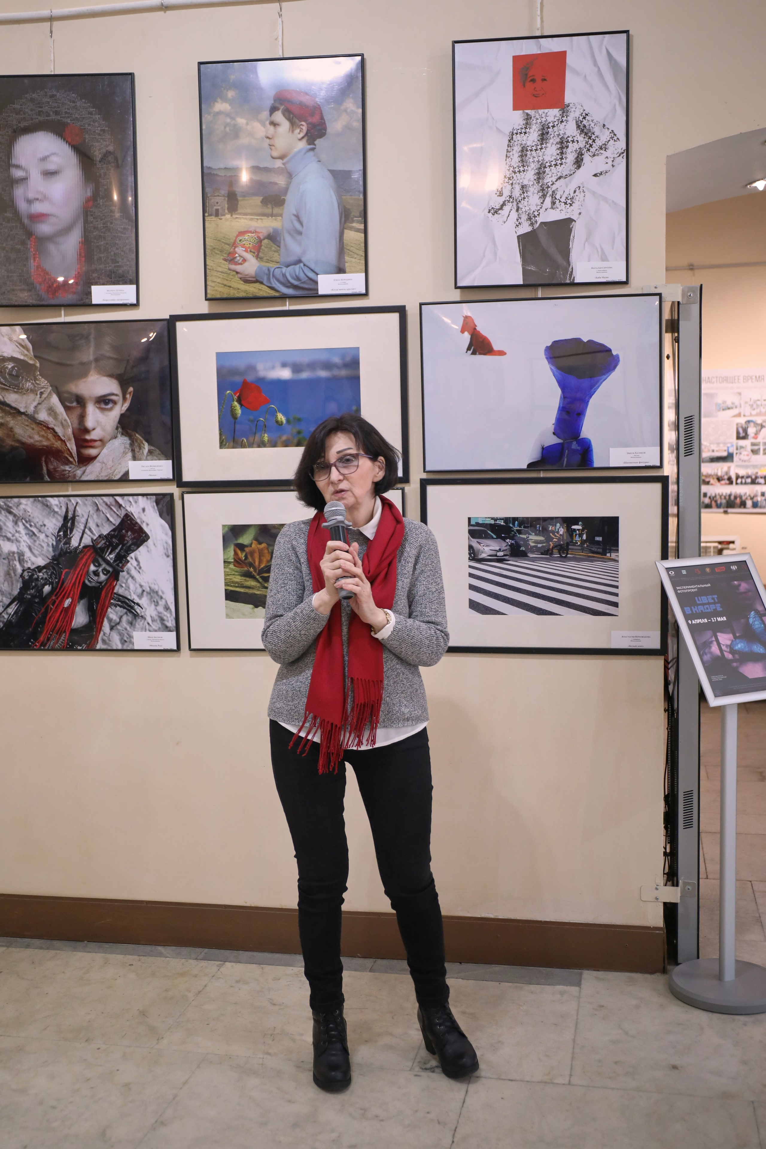 Выставка цвет в кадре в Коломенской картинной галерее «Дом Озерова». Дударева Наталия фотограф Москва