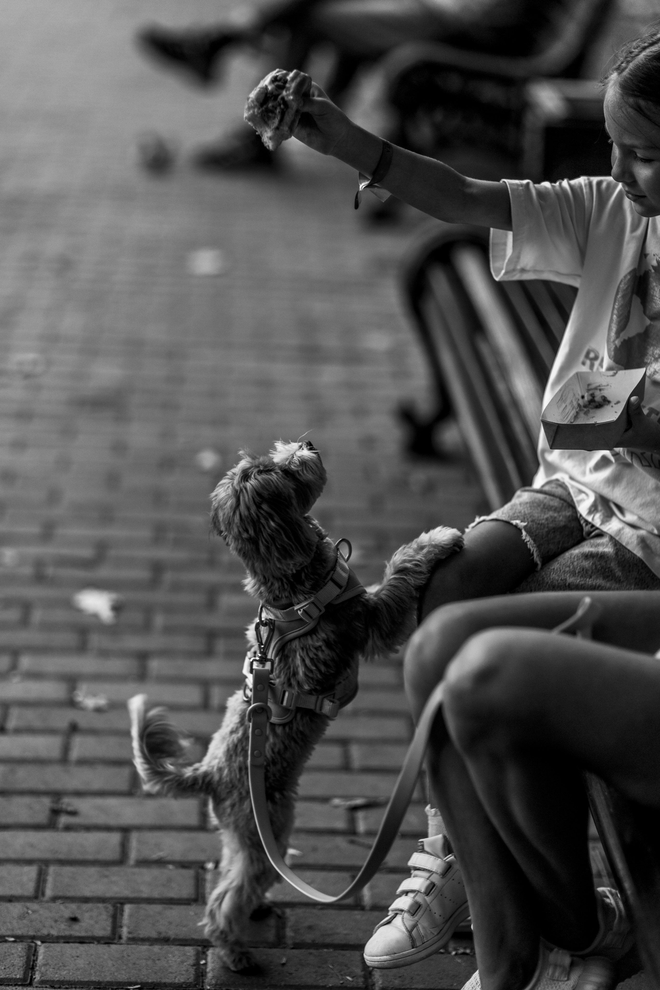 35 Awards «Дети и животные». Photomantis