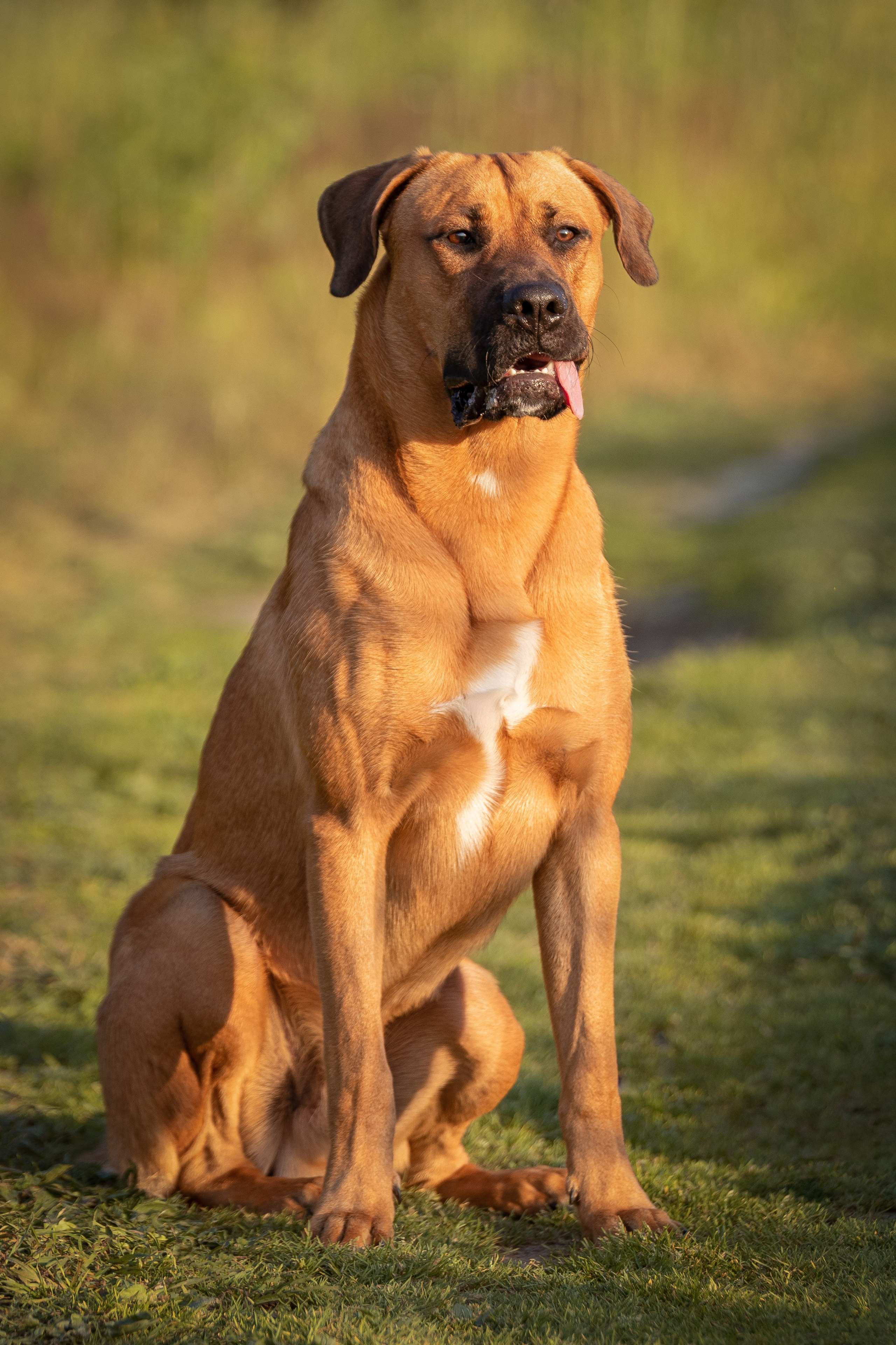 Юлия Микульская. Рыбинск