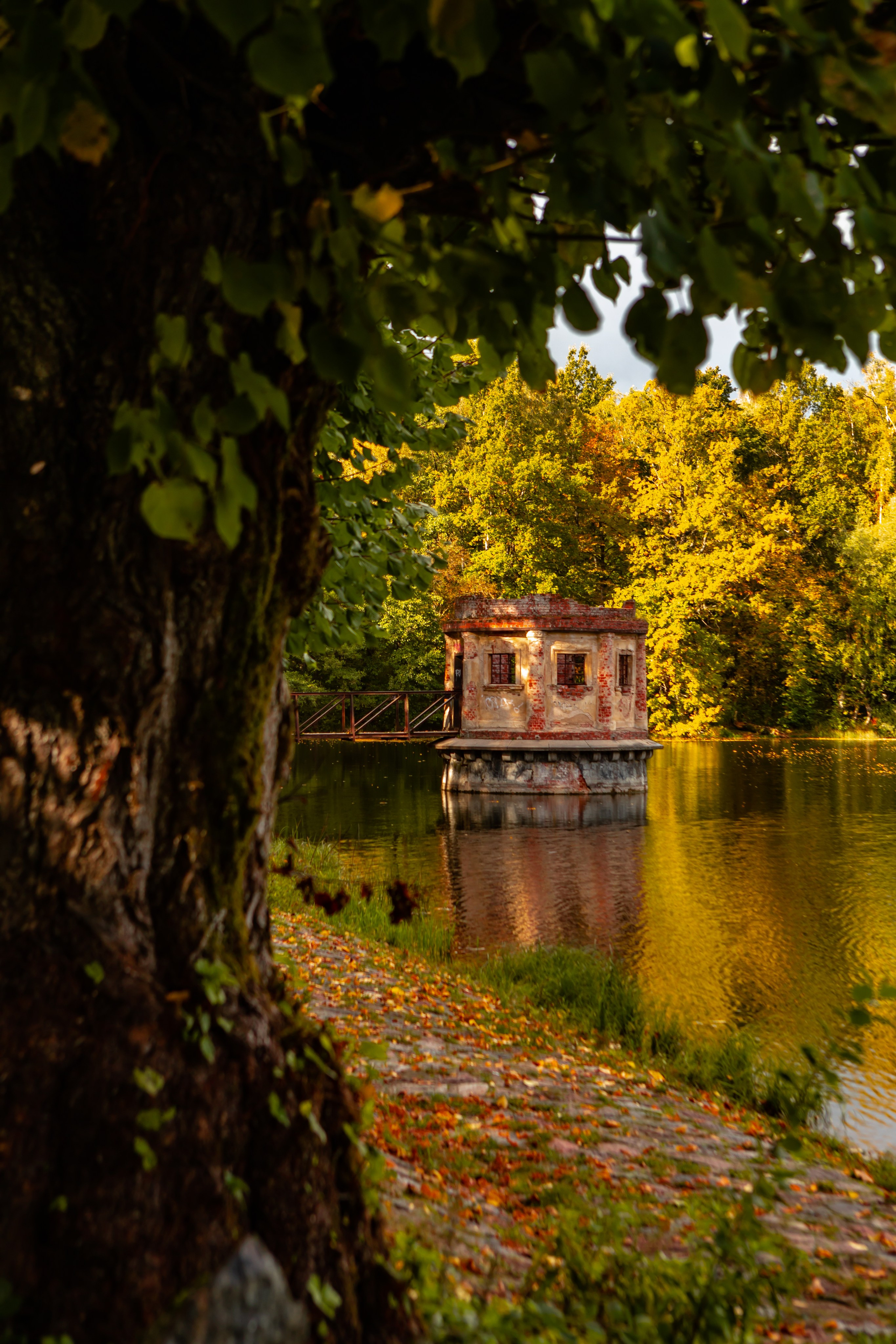 Прайс-лист Фотосъемка. AI-контент (генерации ИИ-фото и видео), стоковые фотографии Калининградской области