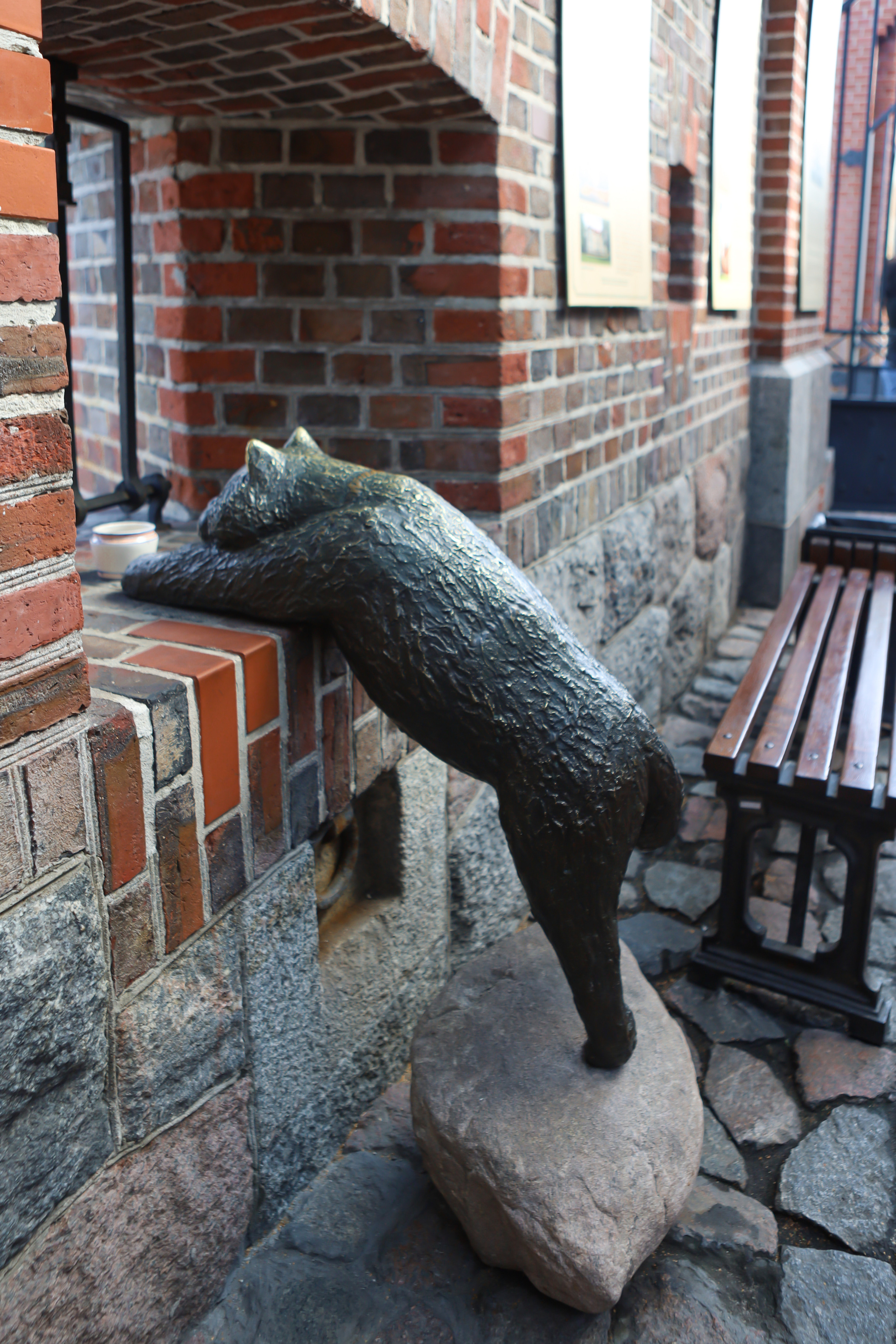 Котоперепись Калининграда. AI-контент (генерации ИИ-фото и видео), стоковые фотографии Калининградской области