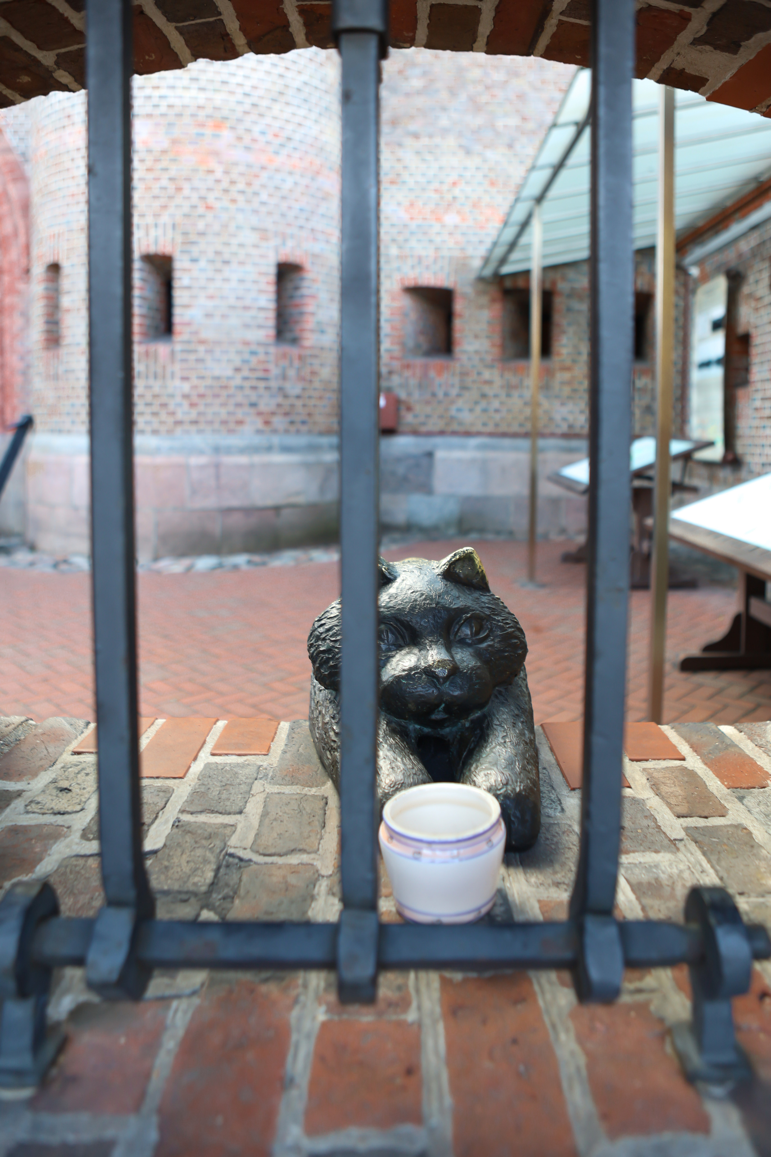 Котоперепись Калининграда. AI-контент (генерации ИИ-фото и видео), стоковые фотографии Калининградской области