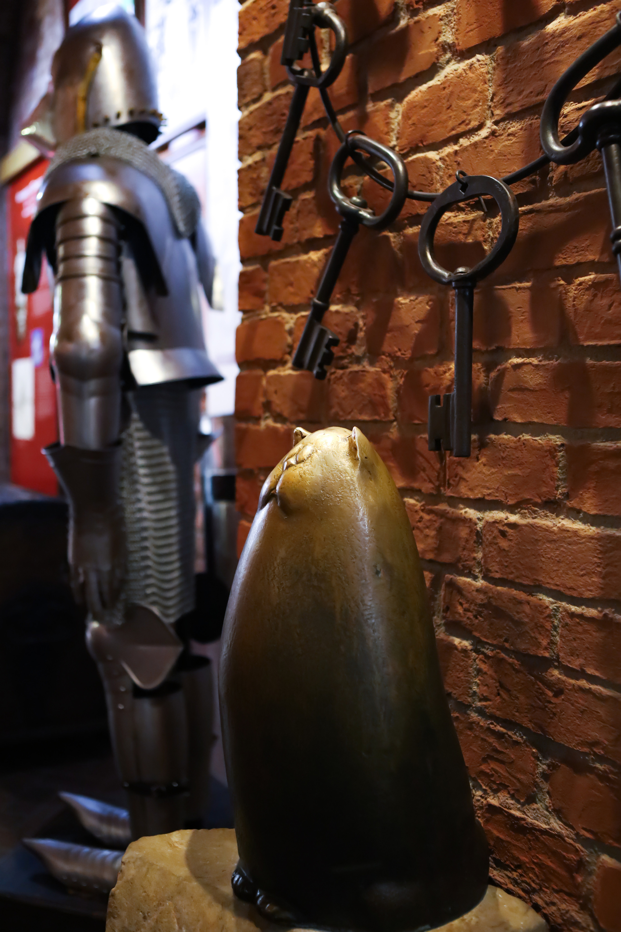 Котоперепись Калининграда. AI-контент (генерации ИИ-фото и видео), стоковые фотографии Калининградской области