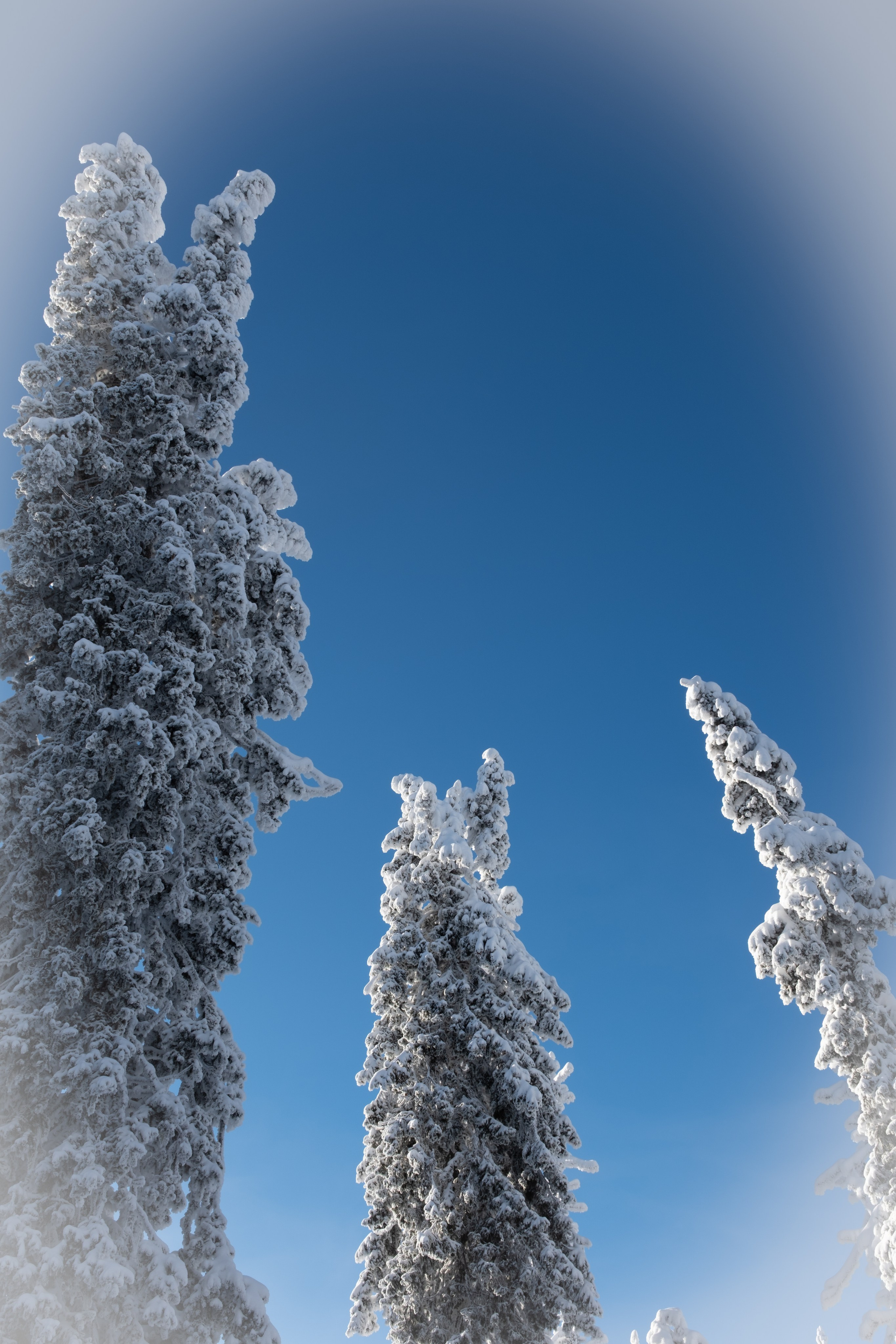 Зимний поход на гору Уван. Челябинская область. Начинающий фотограф-любитель Евгений Серебряков в Екатеринбурге