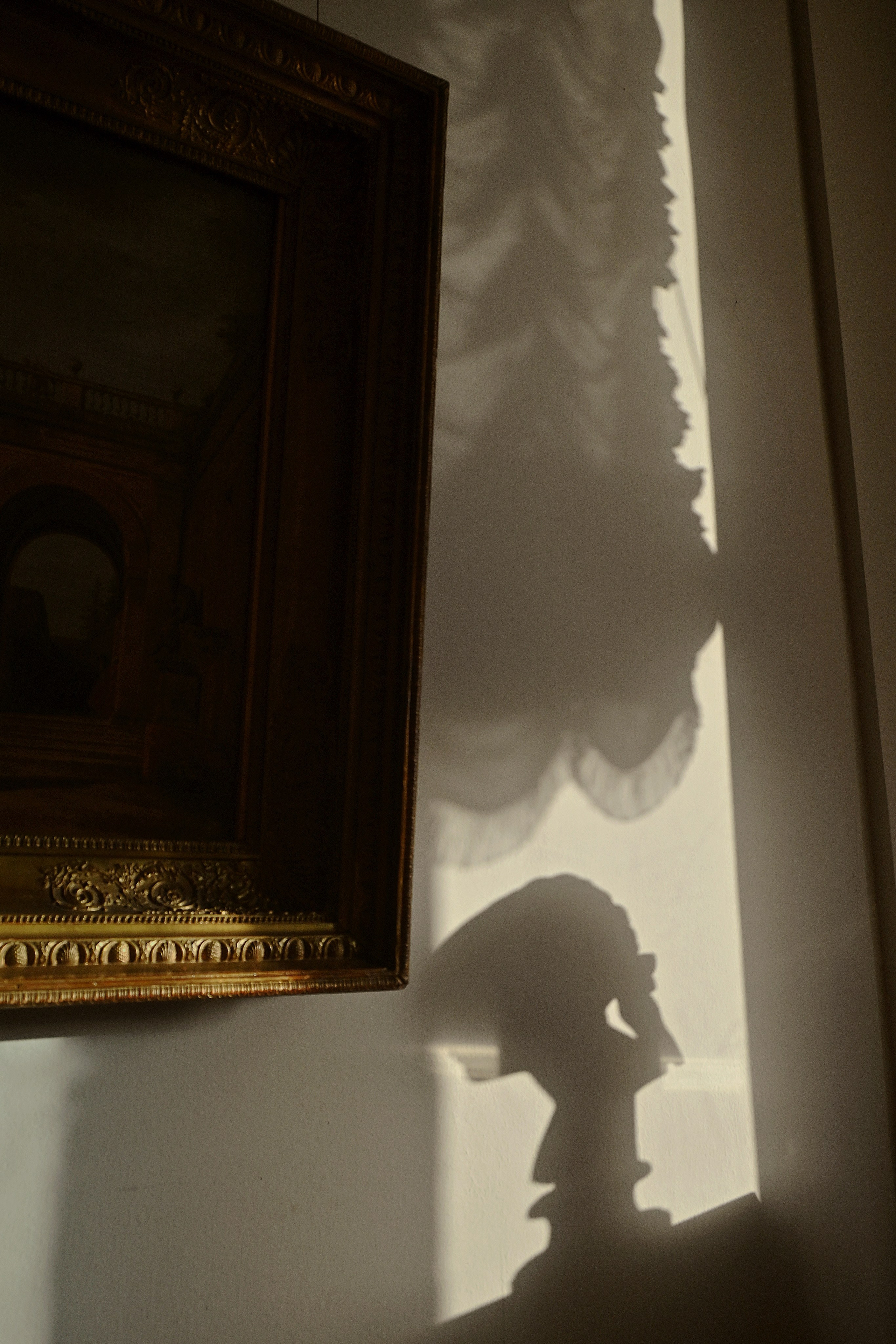 The Hermitage. Фотограф в Санкт-Петербурге Павел Жуков