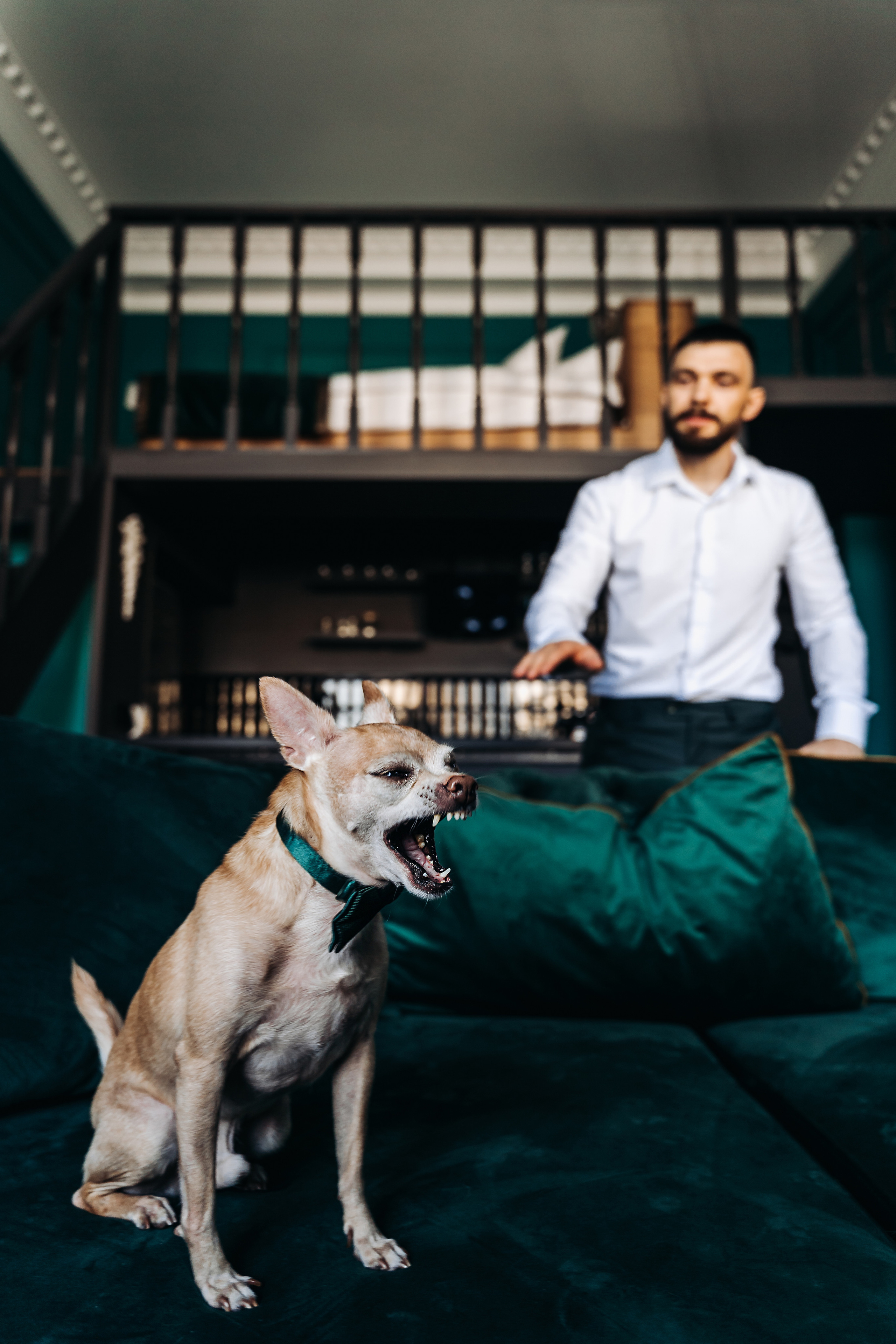 Свадебный фотограф в Санкт-Петербурге Якутович Екатерина