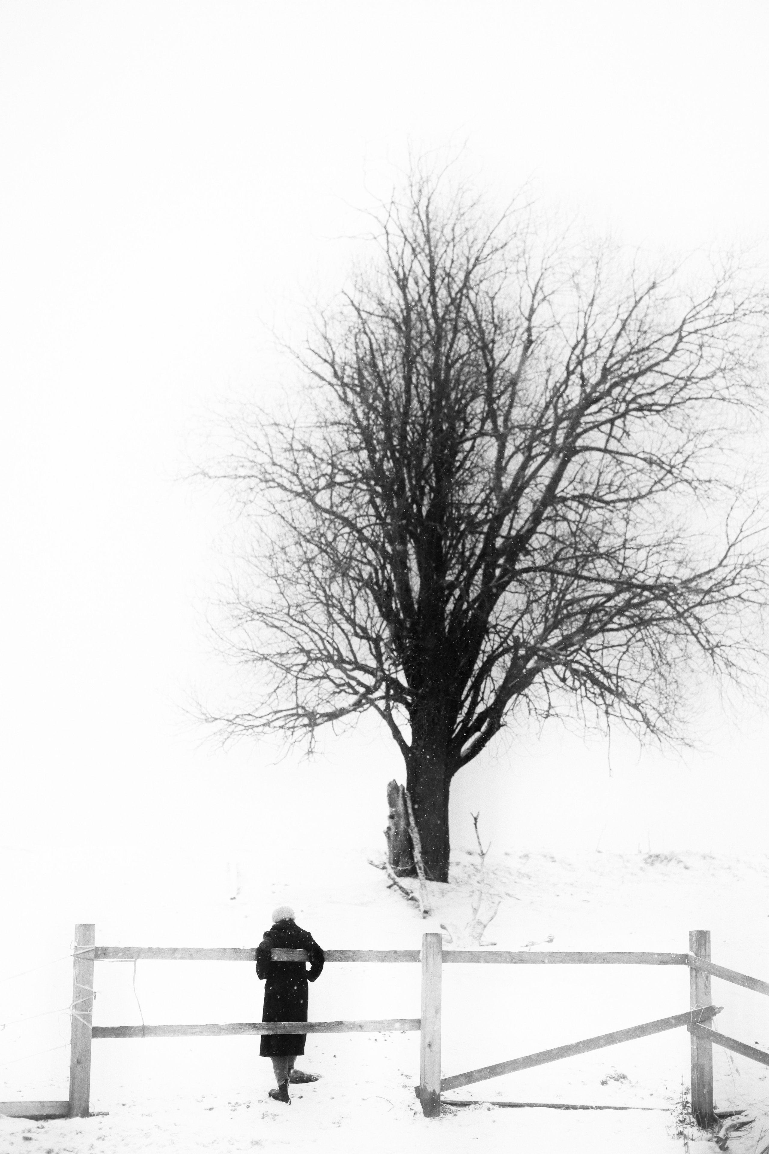 Контакты. Детский и семейный фотограф в Новосибирске Саша Дорошенко