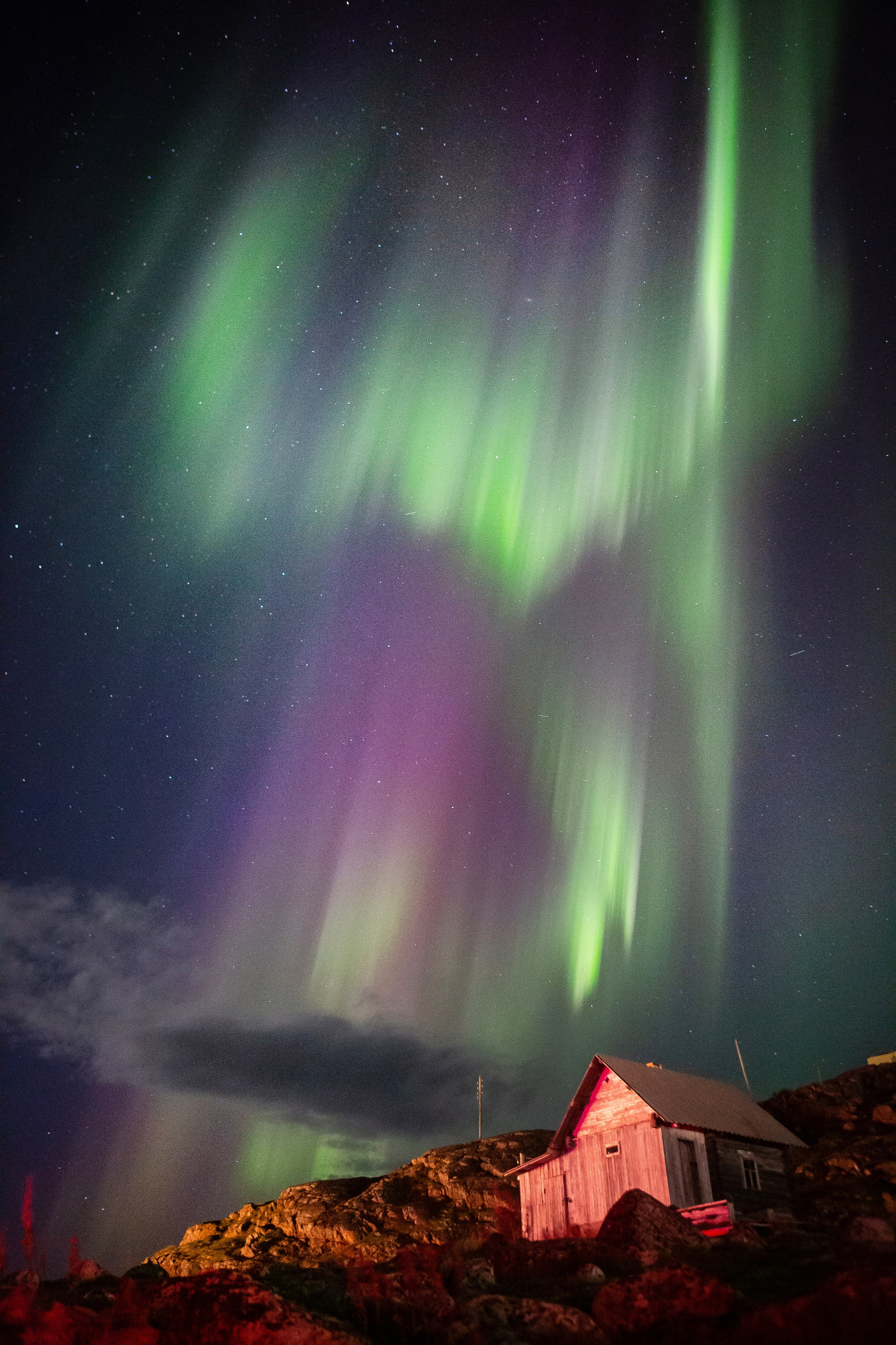Услуги. Фотограф Мария Кольцова