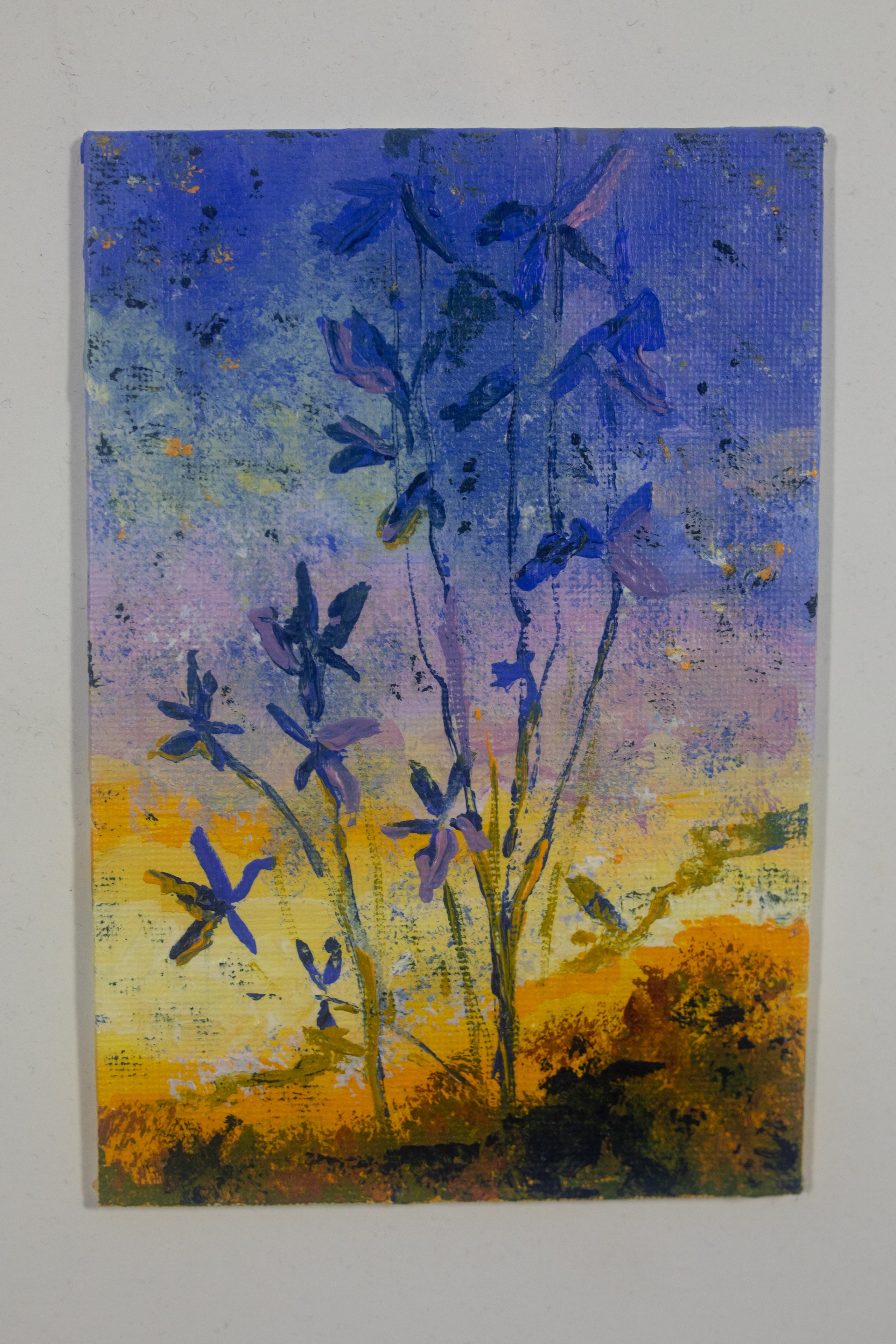 Магазин. Фотограф Елена Богачева (lenalena_na_na_na)