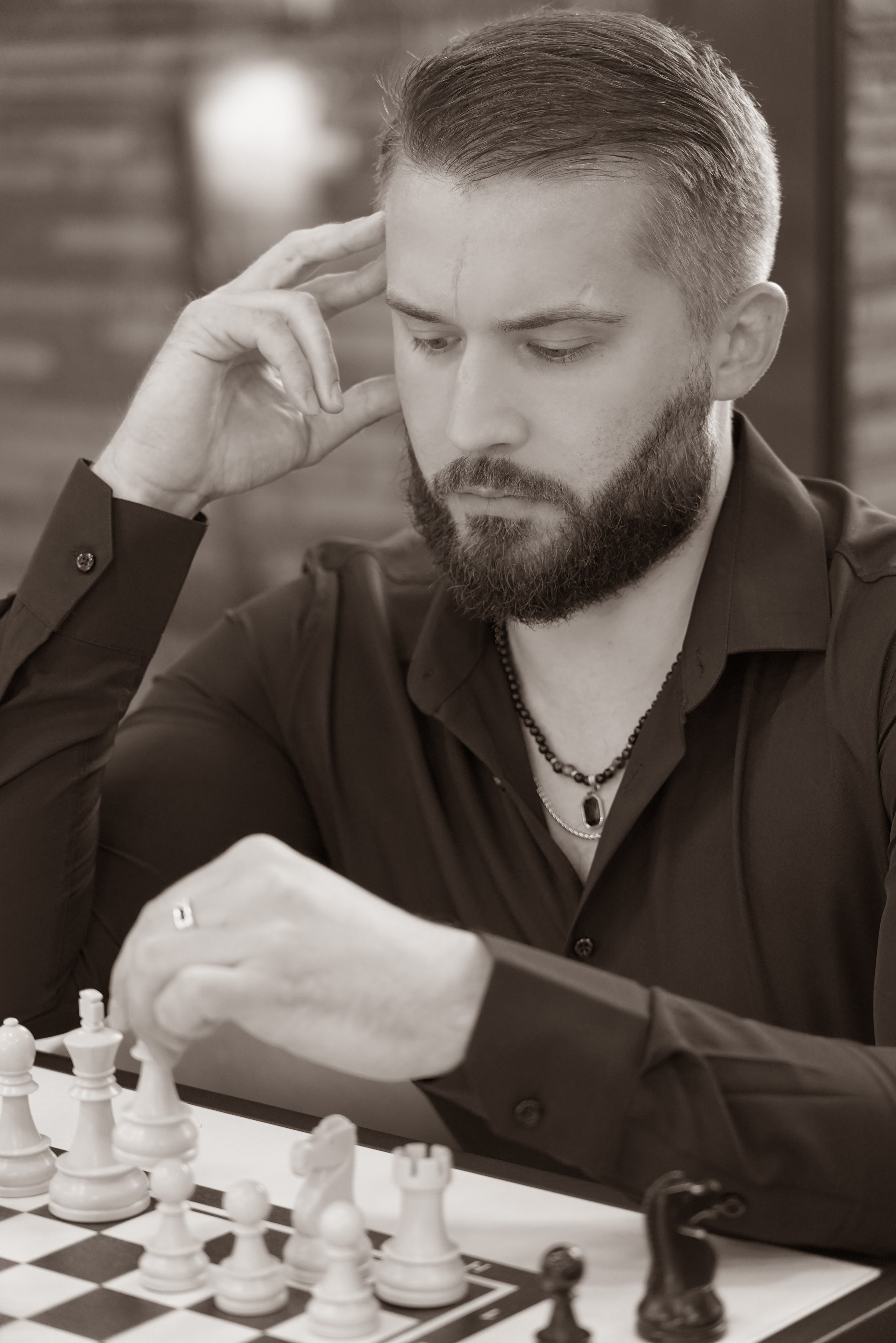 Моя фотостудия: поле, лес, море и горы… Казань — Москва — Болгария