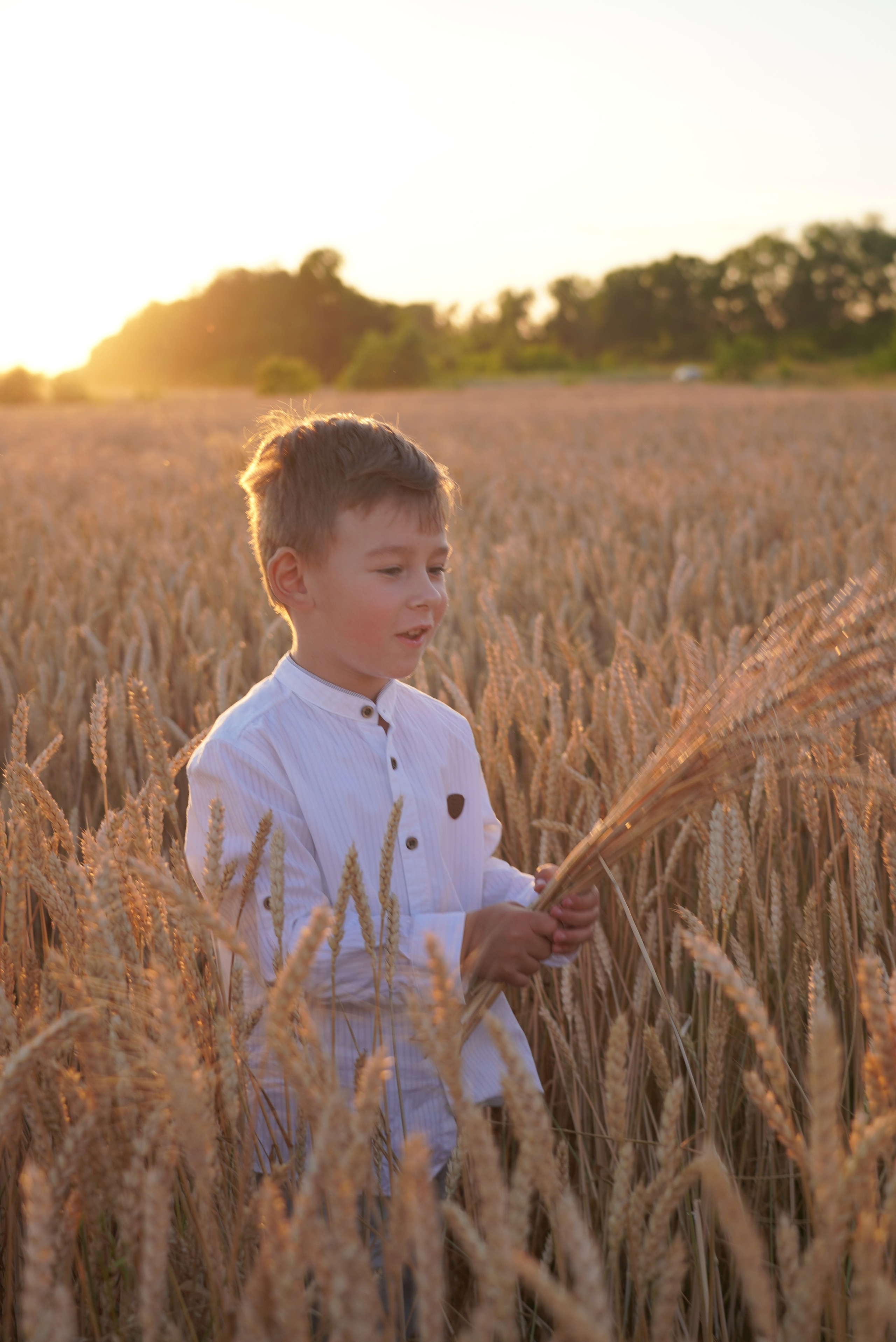 Моя фотостудия: поле, лес, море и горы… Казань — Москва — Болгария